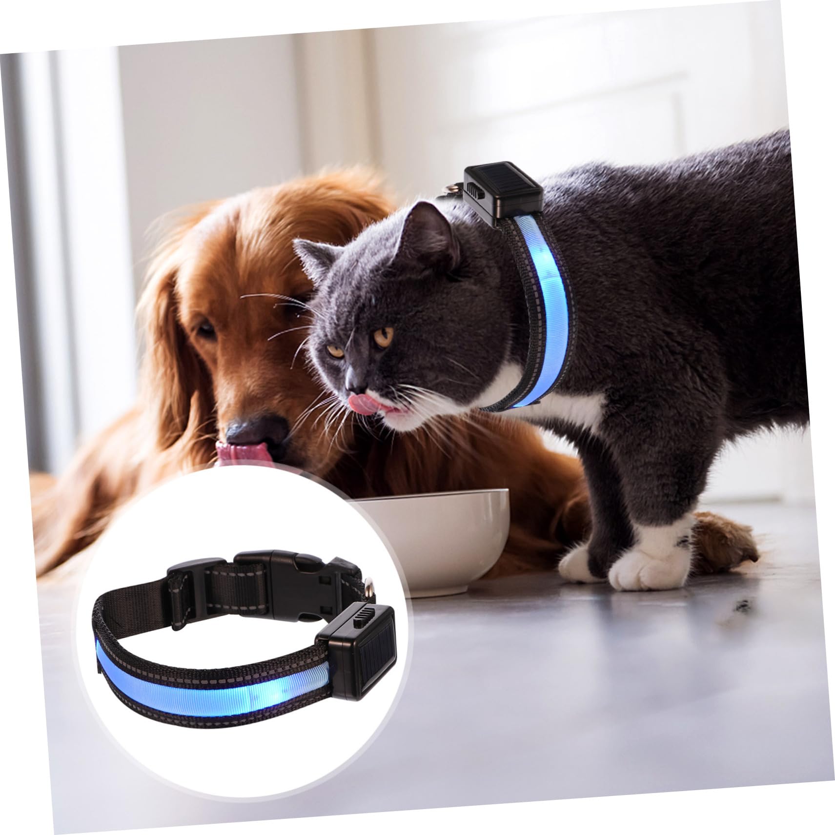 Toddmomy 3 Ensembles Collier Lumineux pour Animaux de Compagnie Colliers Collier LED pour Chiot Dog Collar Collier de sécurité pour Animal de Compagnie Collier de sécurité de Nuit Charge