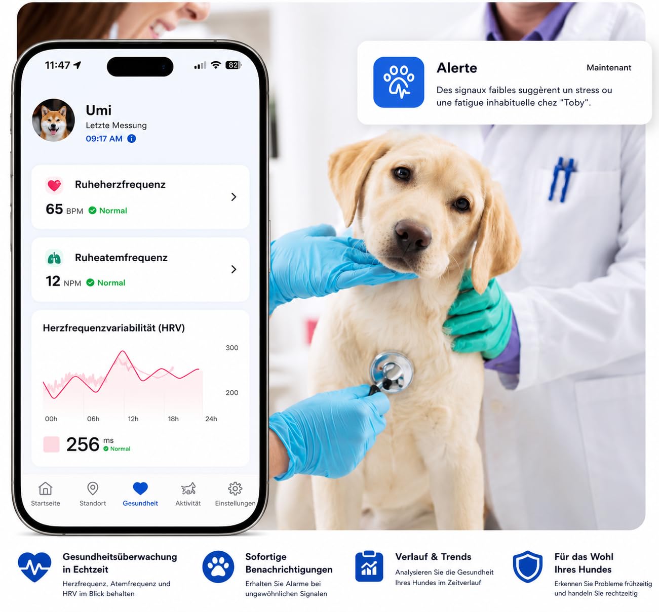 Invoxia Biotracker Edition 2026 | 4G in Echtzeit Herz- Atemüberwachung - Alarm bei Weglaufen - Integrierte KI