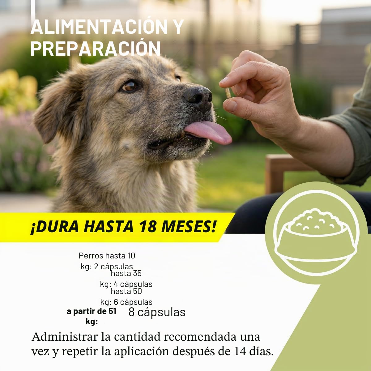 ReaVET Wormwood Mix Cápsulas para perros, 50 comprimidos, producto natural, armoniza el tracto gastrointestinal, flora intestinal sana, formulación de gusanos