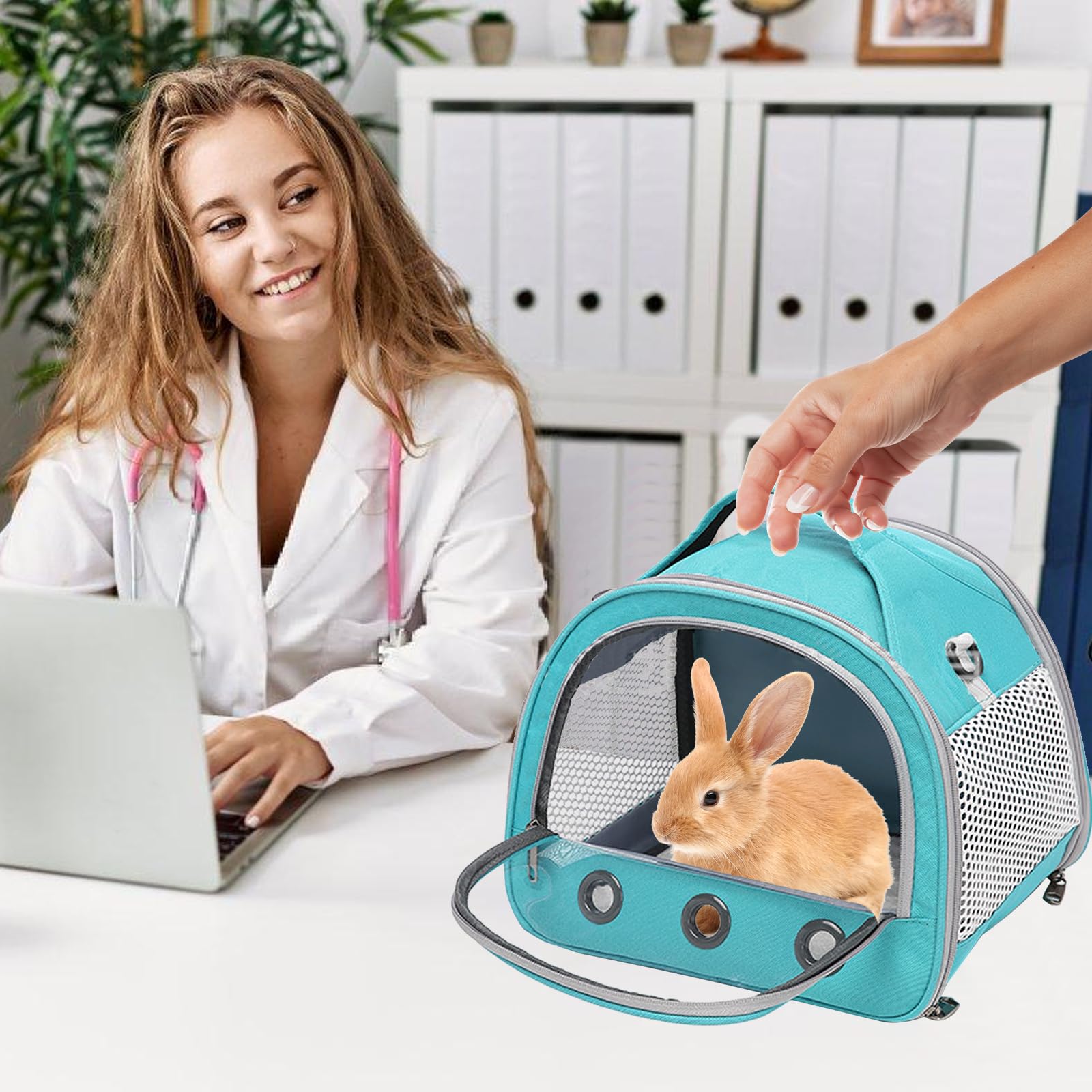30 * 27 * 21cm Sac Transport Chat, Sac de Transport pour Chat, Respirant Et Pliable, avec Bandoulière Réglable, pour Lapins, Cobayes, Chatons