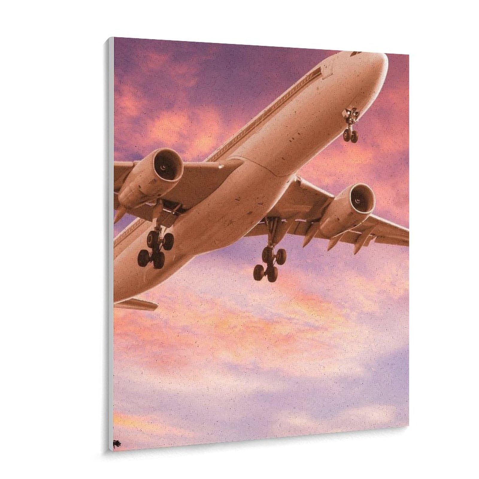 Amazon | 夕暮れの空を飛ぶ飛行機 数字油絵 機械工学 建築設計 数字