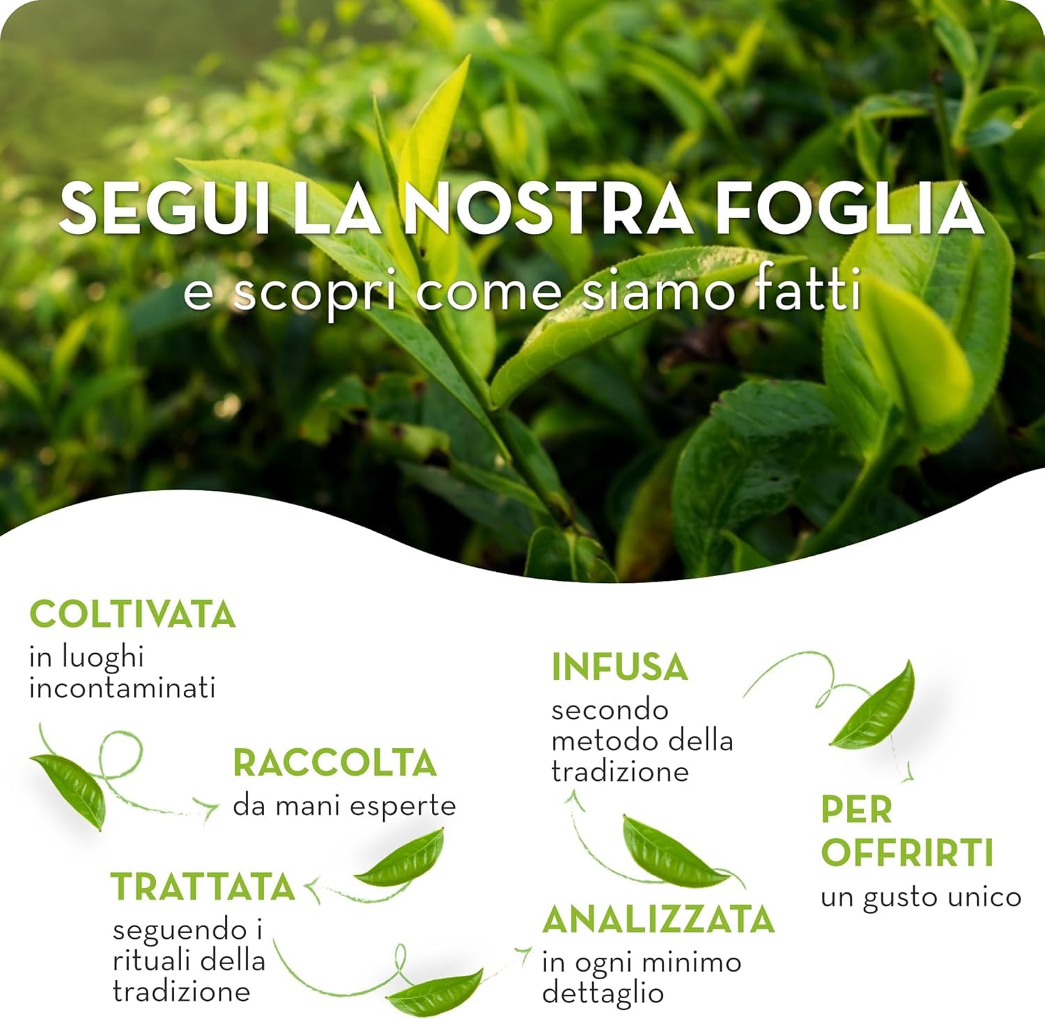 24X Confezione Per Estathé Zero Limone - The Freddo, Senza Zucchero, con Vero Infuso di Foglie di The e Succo di Limone, Bevanda Analcolica Senza Glutine, 24 Lattine da 330ml