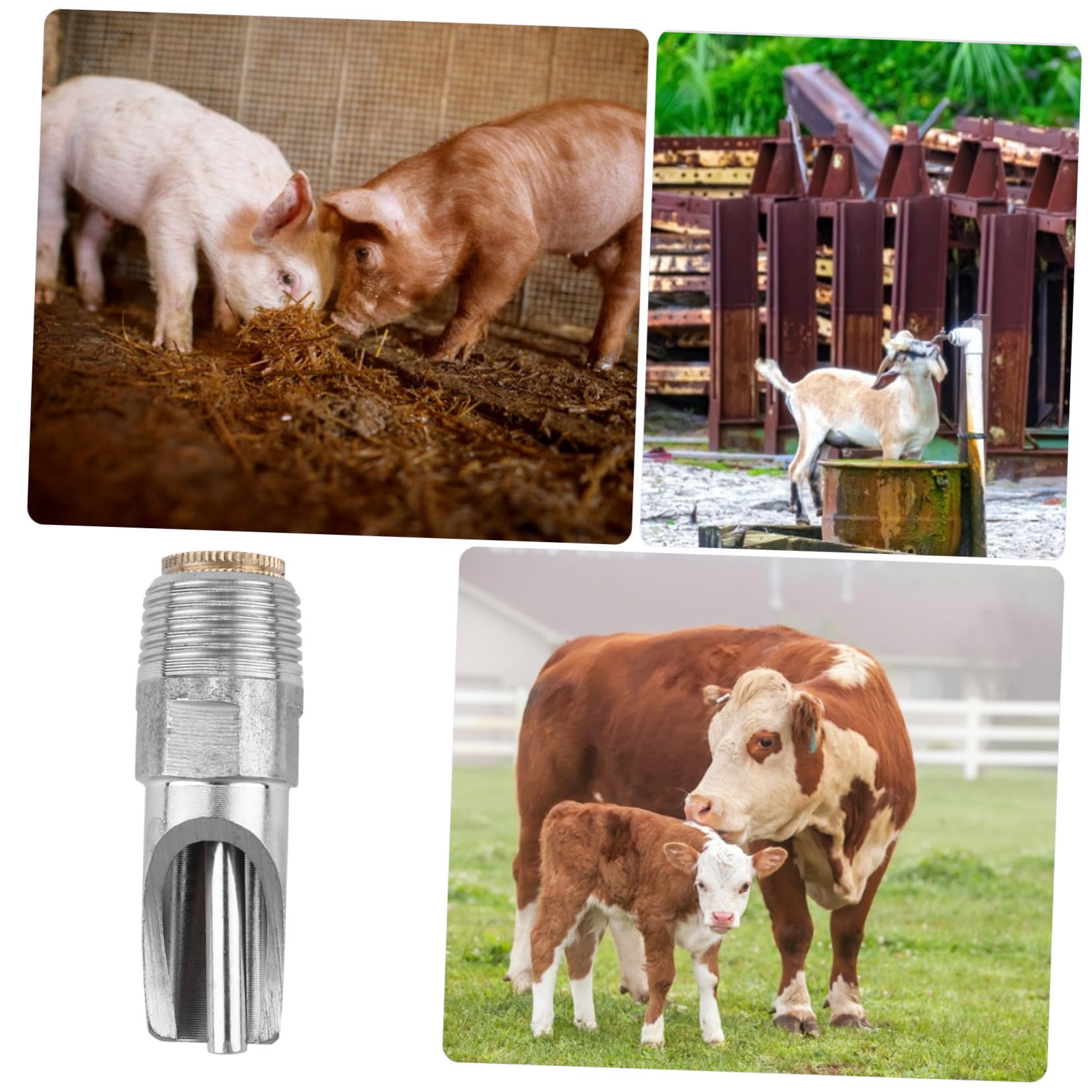 Milisten Edelstahl Wassernippel Für Schweine Schweinetränke Automatischer Trinknippel Mit Langer Lebensdauer Dicht Schließend Für Sauen Ferkel Und Mastschweine Geeignet