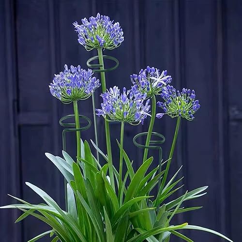 Miniatura 6 de Thealyn Paquete de 12 estacas de soporte para plantas de 16 pulgadas, aros de metal de un solo tallo de soporte de flores, estacas de plantas de
