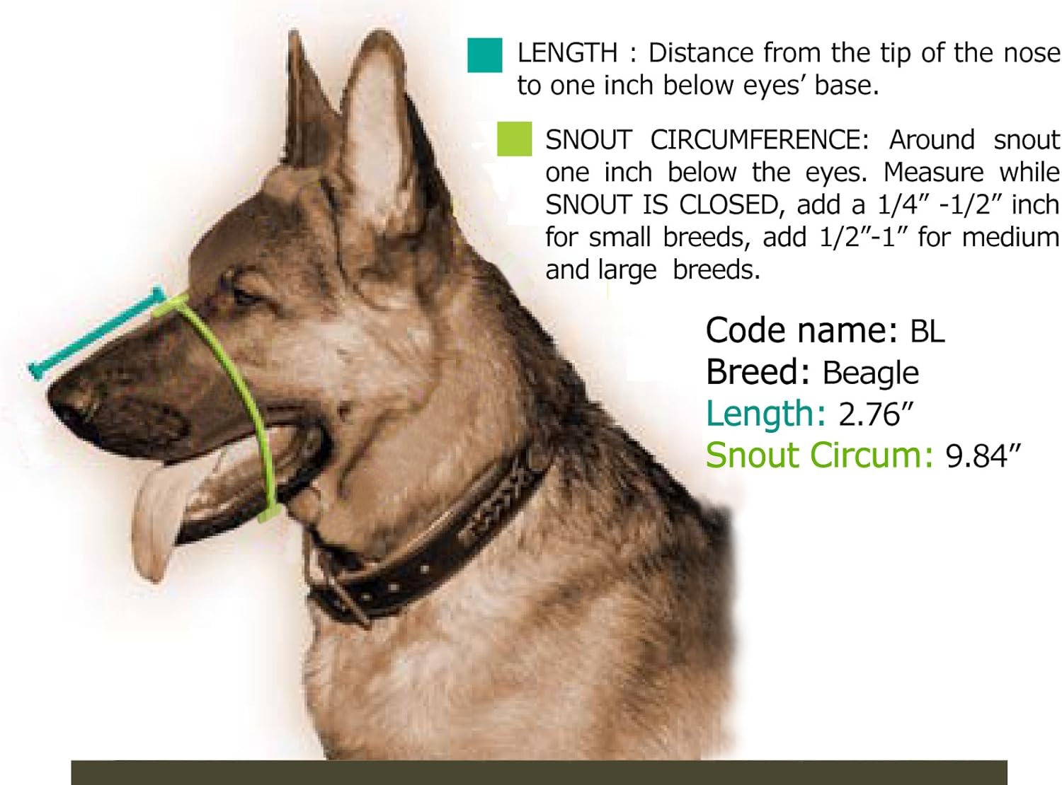 Dean & Tyler Leather Basket Muzzle, Beagle, Black