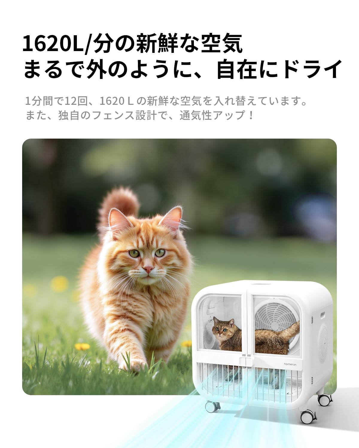 Amazon | Homerunpet ペットドライルーム drybo ultra 【多頭用、中型