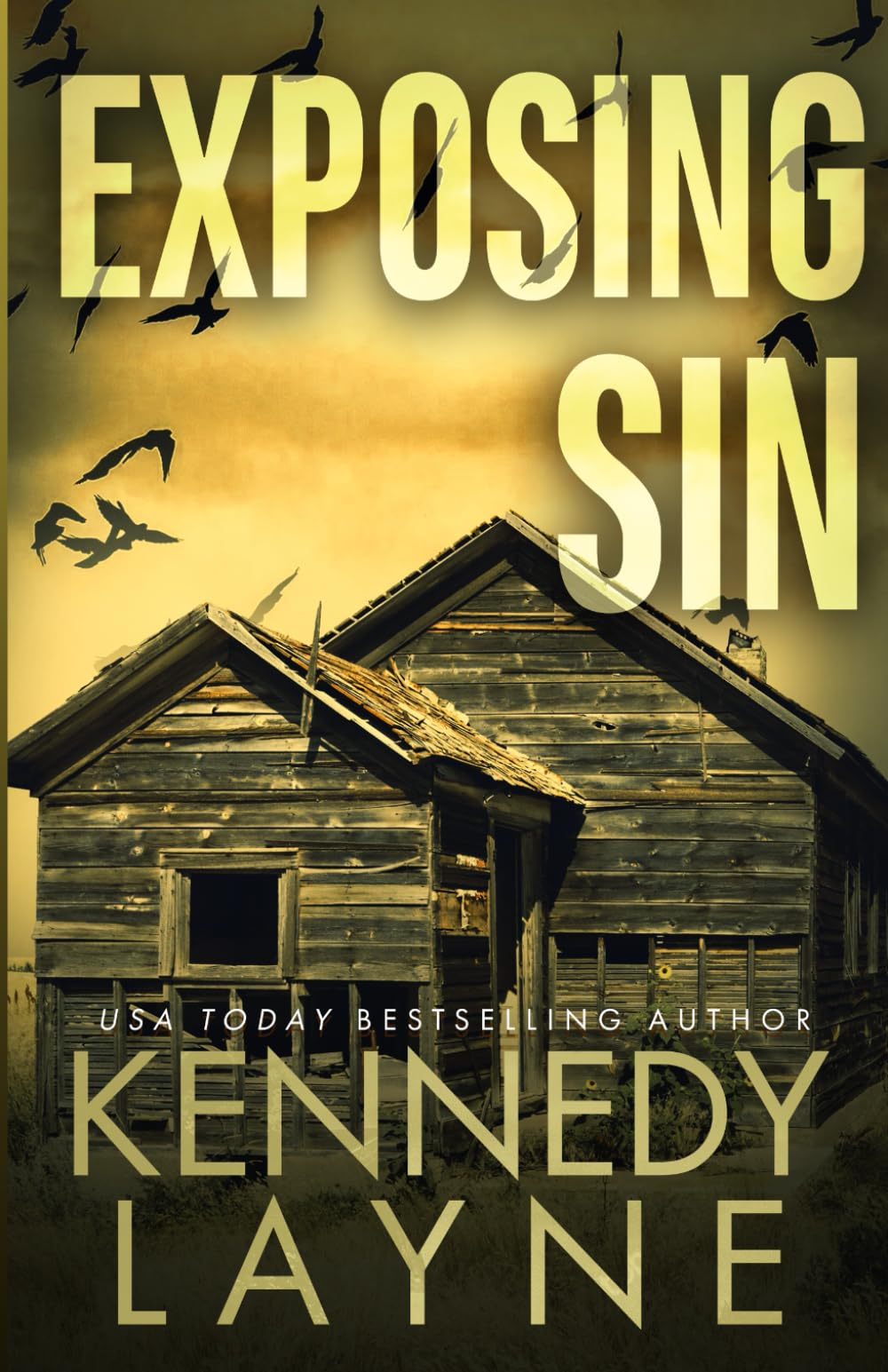 Exposing Sin: 14 (Touch of Evil)