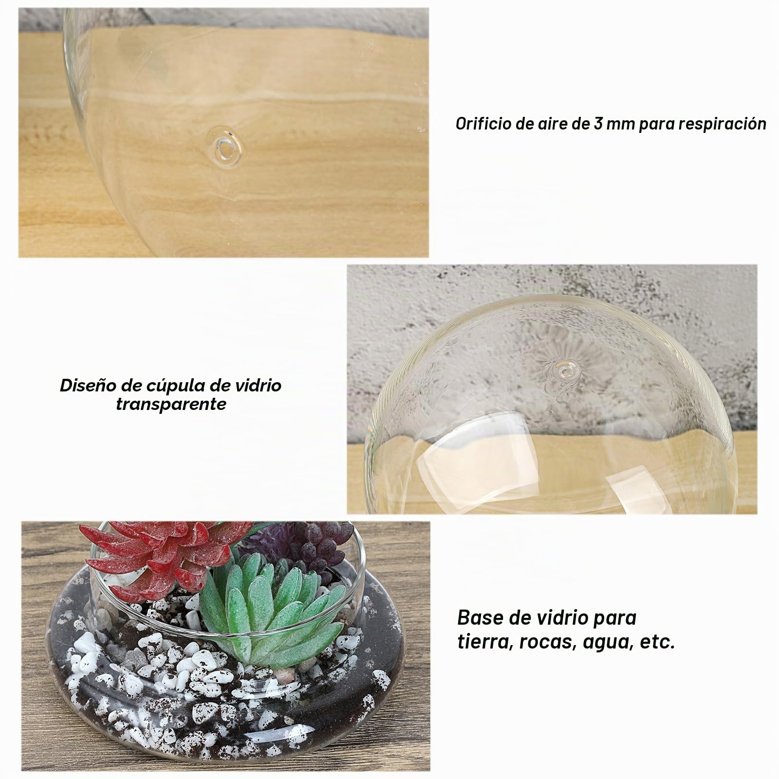 Mini terrario de cristal para plantas suculentas, cúpula transparente con orificio de aire de 3 mm, campana decorativa con base de cristal, decoración de mesa, regalo
