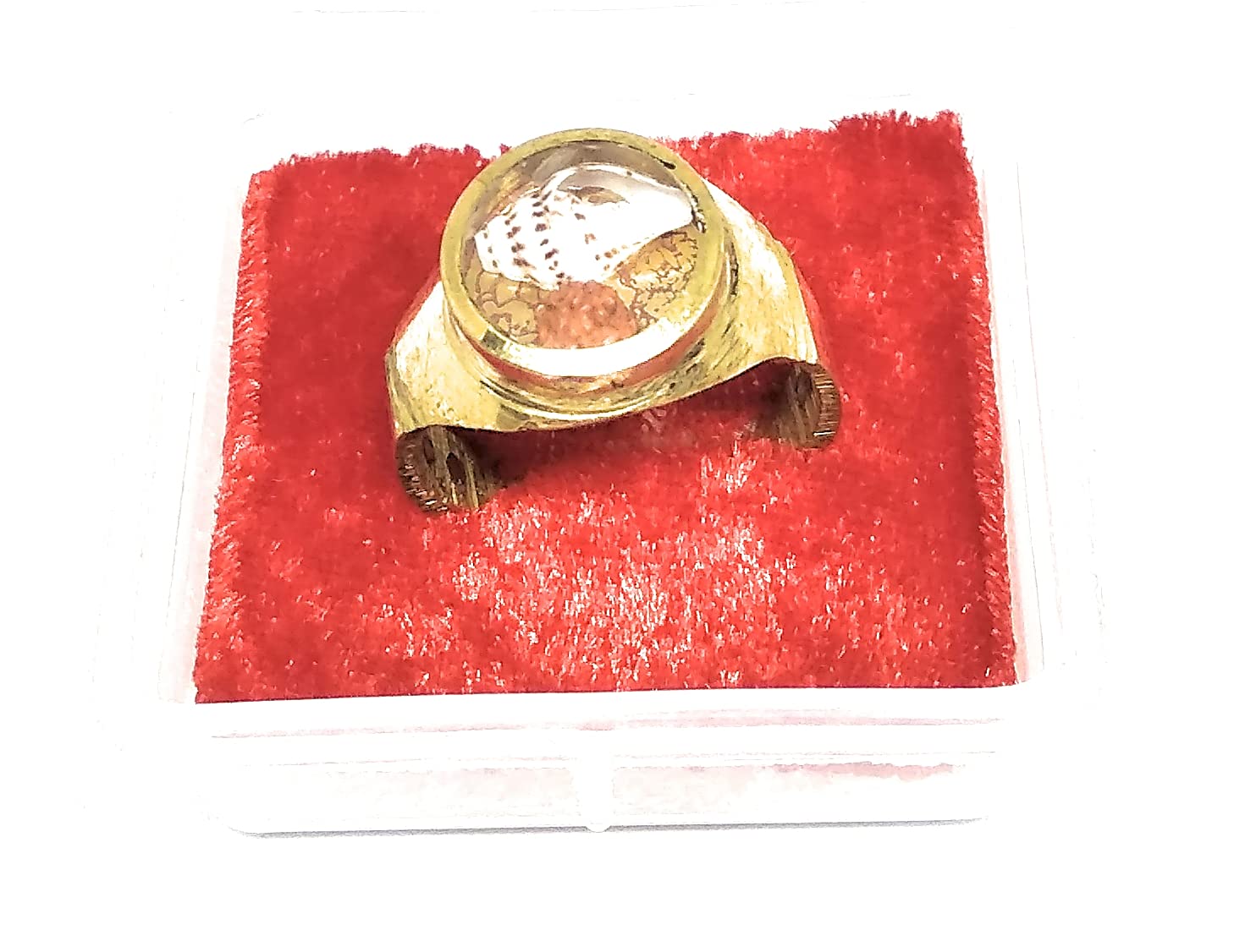 Ayurved Ashtadhatu Trishakti Rudraksha, Shankh Jadit Ring For Increase Your Health, Wealth & Prosperity (B09GRZN97Y) Amazon Price History, Amazon Price Tracker