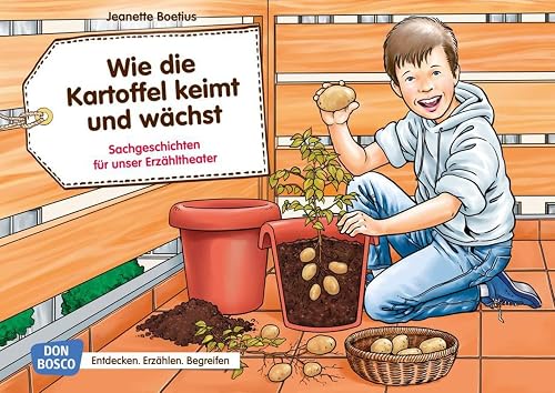 Wie die Kartoffel keimt und wächst. Kamishibai Bildkartenset.: Entdecken - Erzählen - Begreifen: Sachgeschichten.