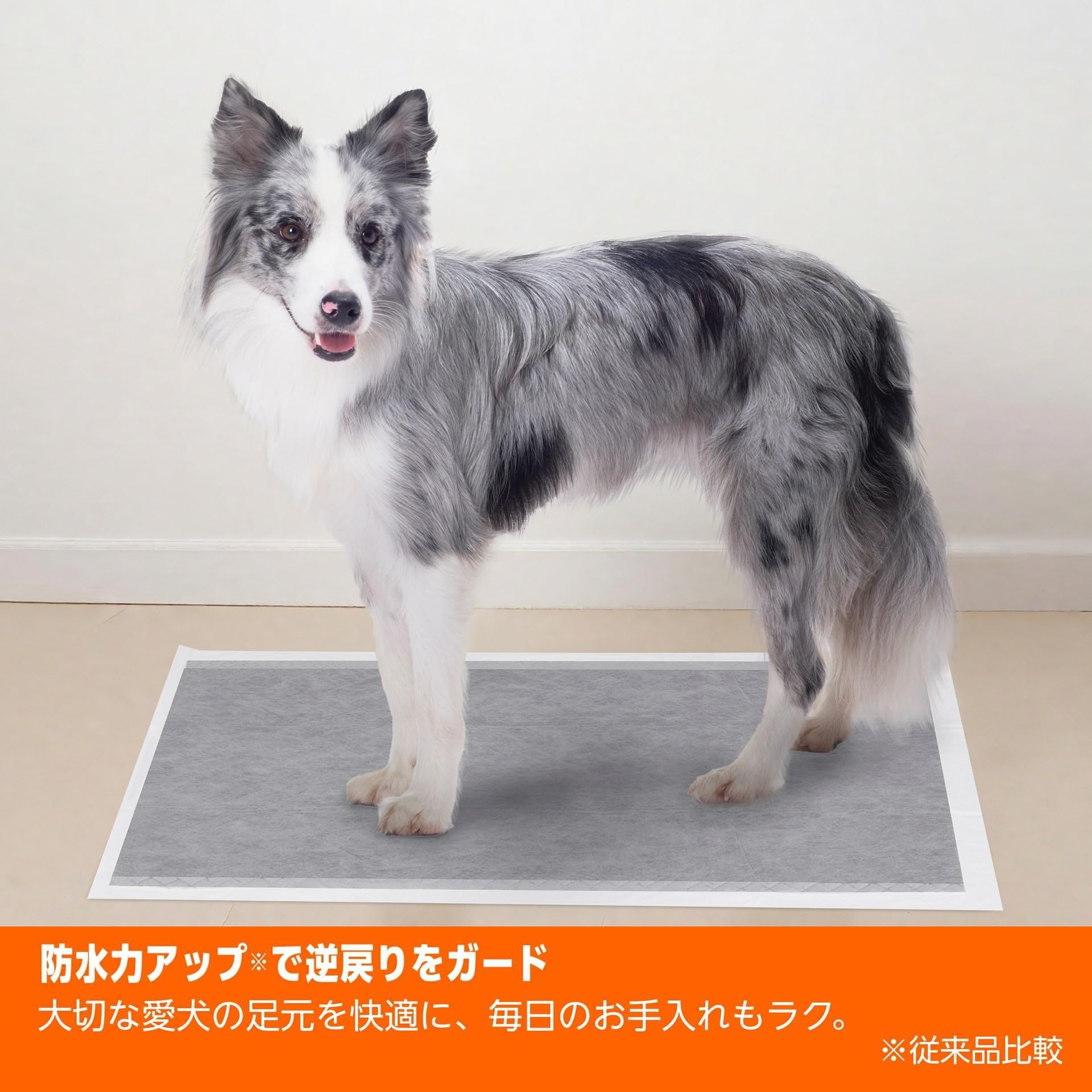 ペットシート　まとめ Amazon | Amazonベーシック カーボン ペットシーツ スーパーワイド 54