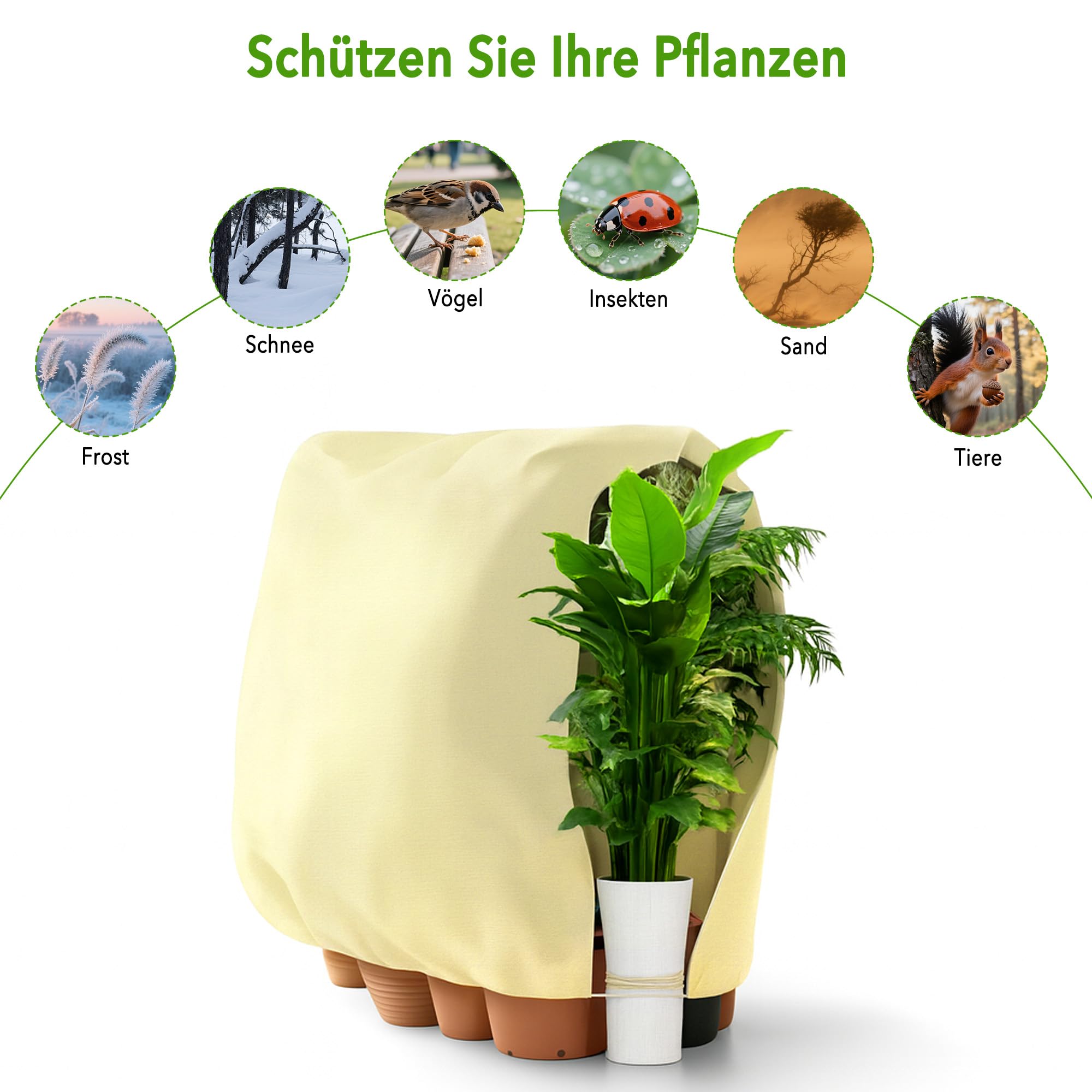 SCLLNDA Winterschutz Für Pflanzen 240x200cm Winter Produktbild-Vorschau 9