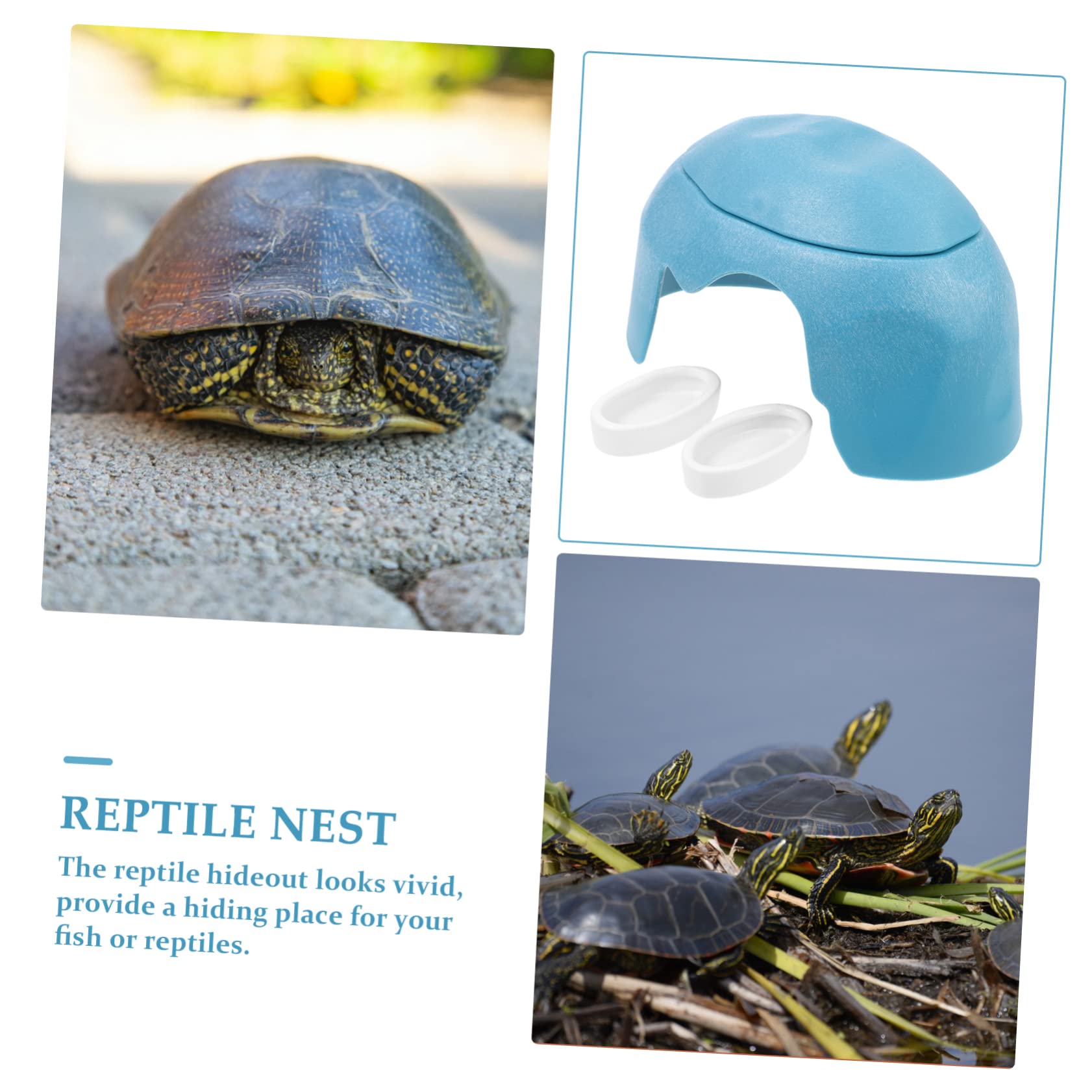 Cueva Escondite para Reptiles y Tortugas con Comederos Azul