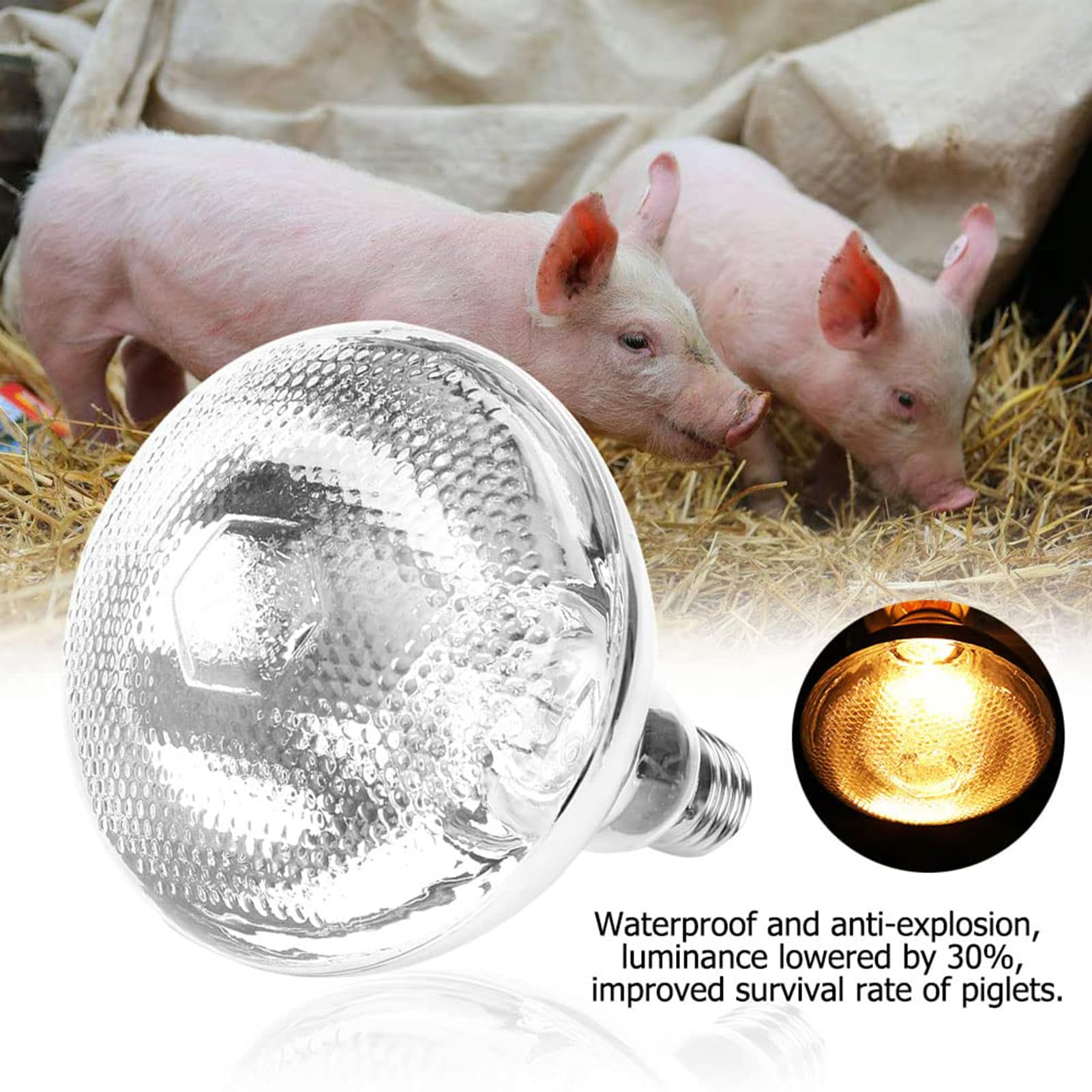 Lámpara de Calor, Bombilla de calefacción a Prueba de explosiones de Vidrio Duro Transparente, Bombilla de Buffet Lámpara de Calor 275w para Servicio de Alimentos Bombilla de criadora Pollitos Baño