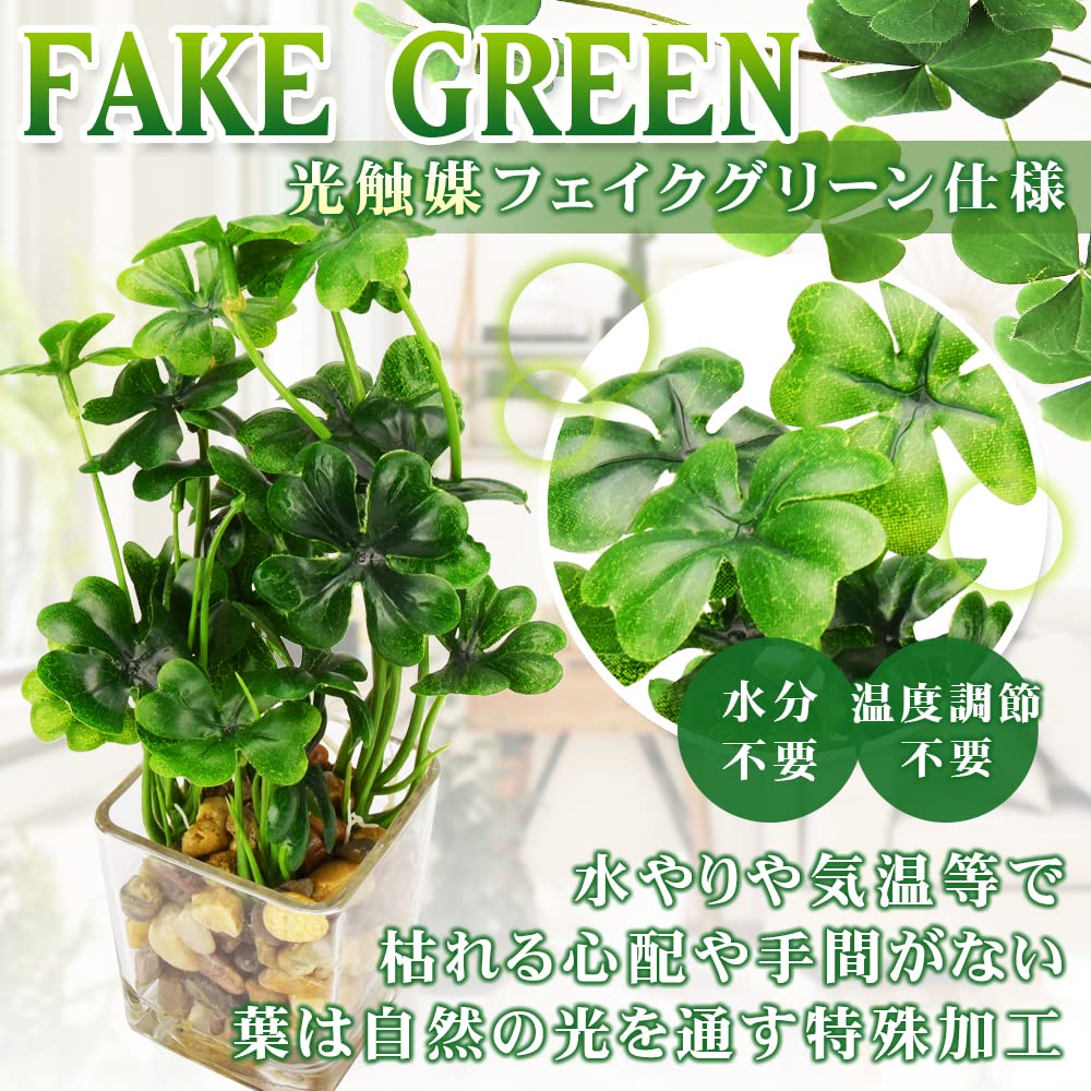 Amazon|四つ葉のクローバー 光触媒 人工観葉植物 ガラス鉢 お手入れ Amazon|四つ葉のクローバー 光触媒 人工観葉植物 ガラス鉢 お手入れ