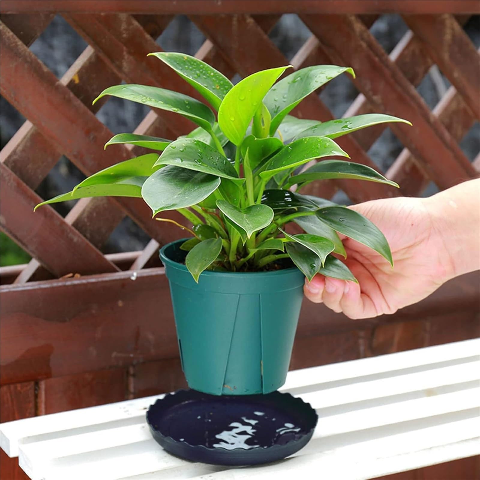 6pcs Thickened Plastic Planter Tray per Piante