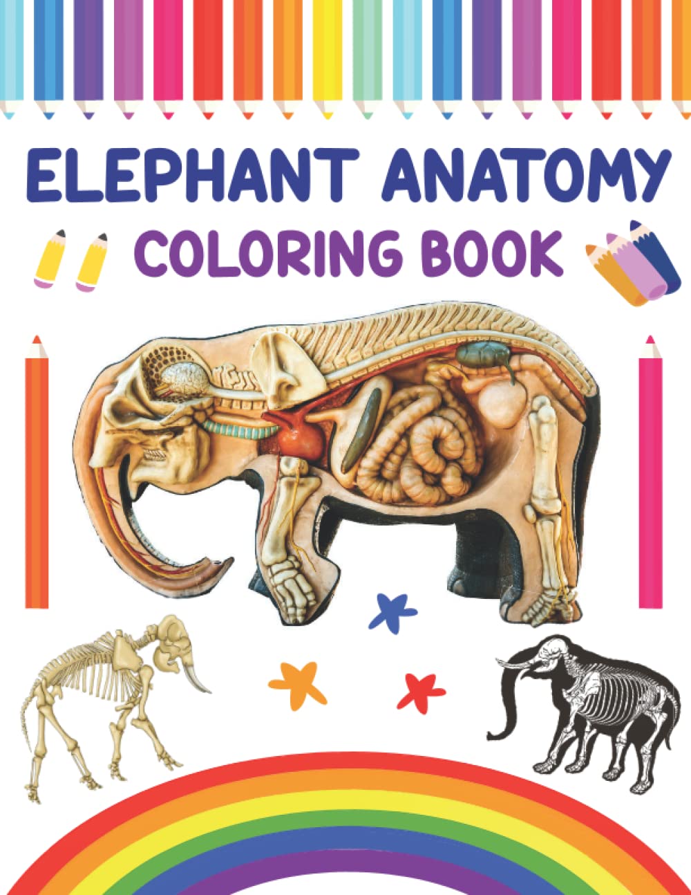 buy-elephant-anatomy-coloring-book-new-surprising-magnificent-learning