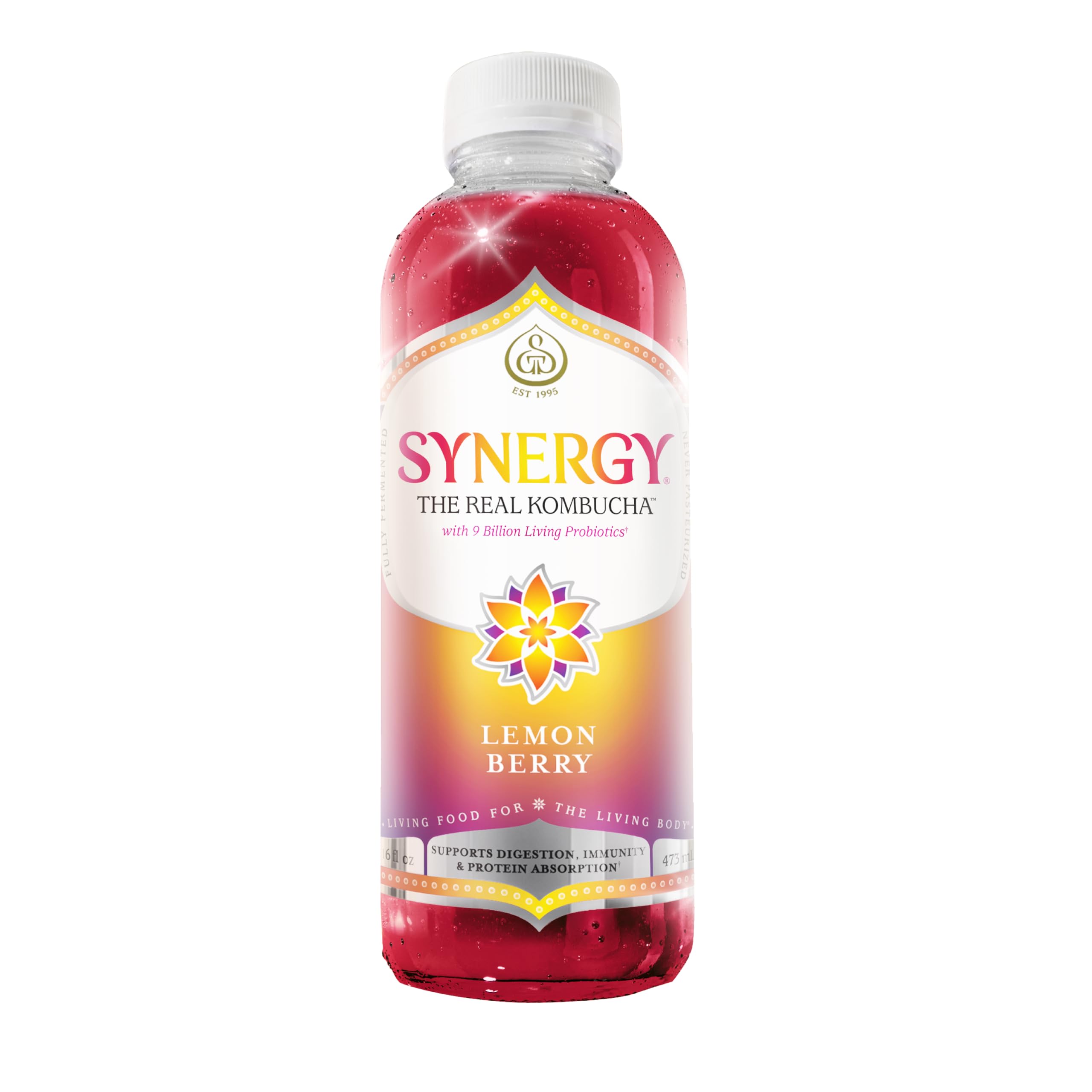 Amazon.com: SYNERGY The Real Kombucha - Lemon Berry - 16 fl oz