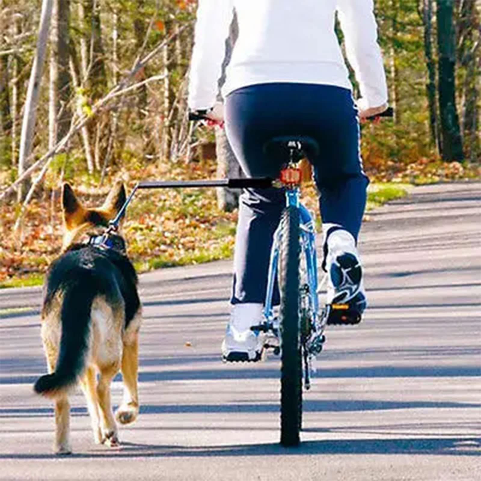 Laisse De Marche pour Vélo, Laisse De Vélo Mains Libres Amovible avec Sangle Rembourrée, Facile À Installer, Convient À Tous Les Types De Vélos Et À Toutes Les Races De Chiens