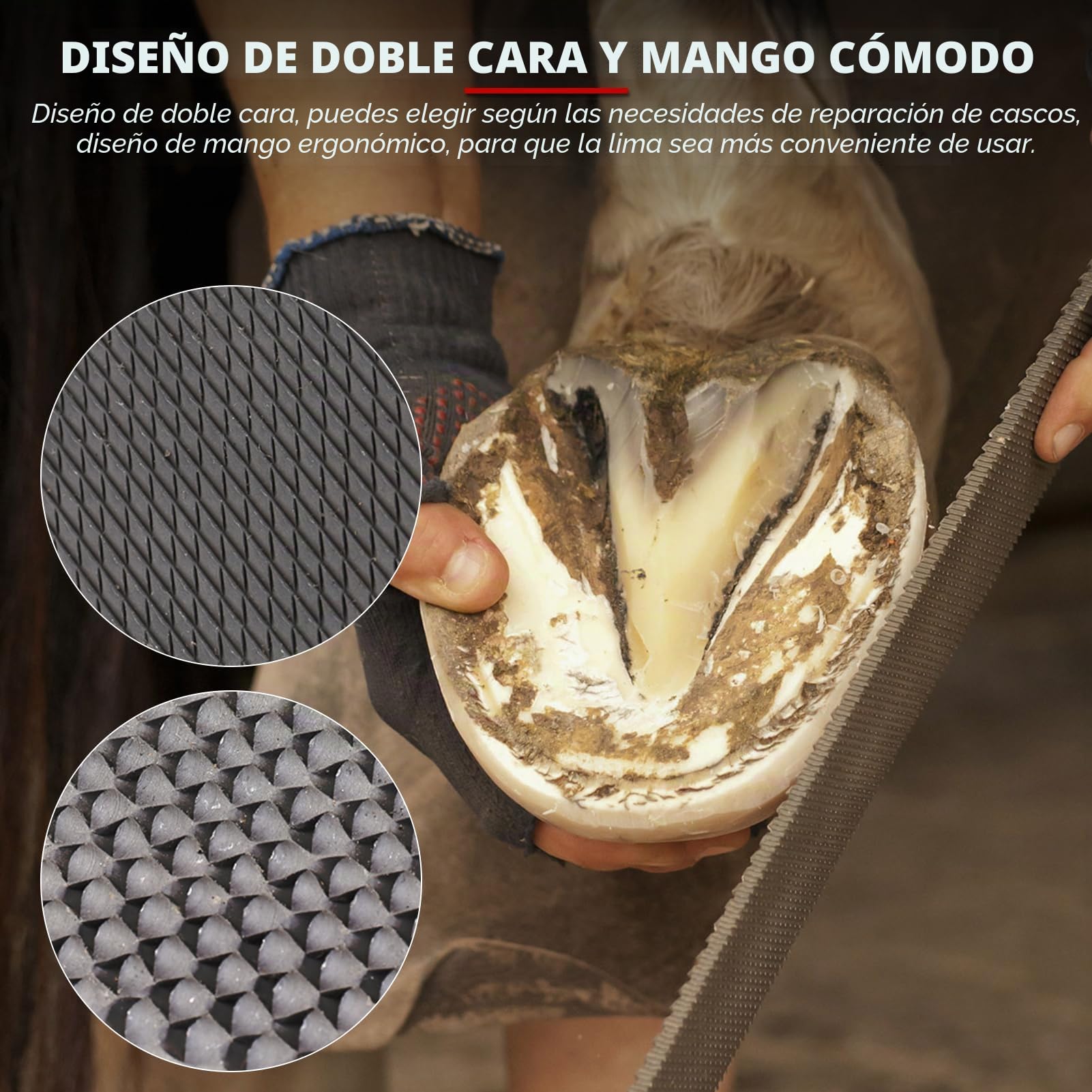 Kit de Herramientas para Cortar pezuñas de herrador de Caballos, Herramientas Profesionales para Recortar pezuñas de Caballos, Tijeras para Metal, Cortador de Pinzas para herradores