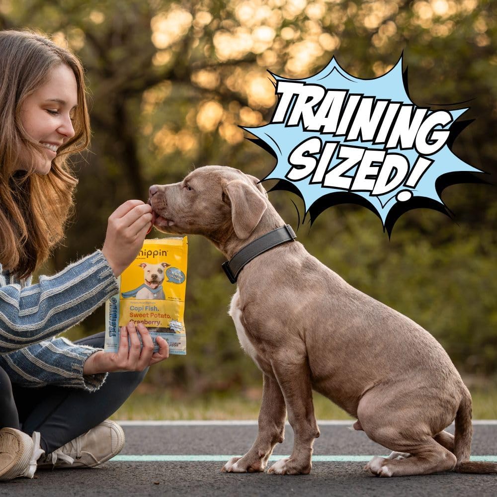Chippin Soft Dog Training Treats, Mini Bite Size Fish & Sweet Potato Dog Treats, Healthy Low Calorie Training Rewards for Puppy & Dogs, Natural High Protein, 4 Pack