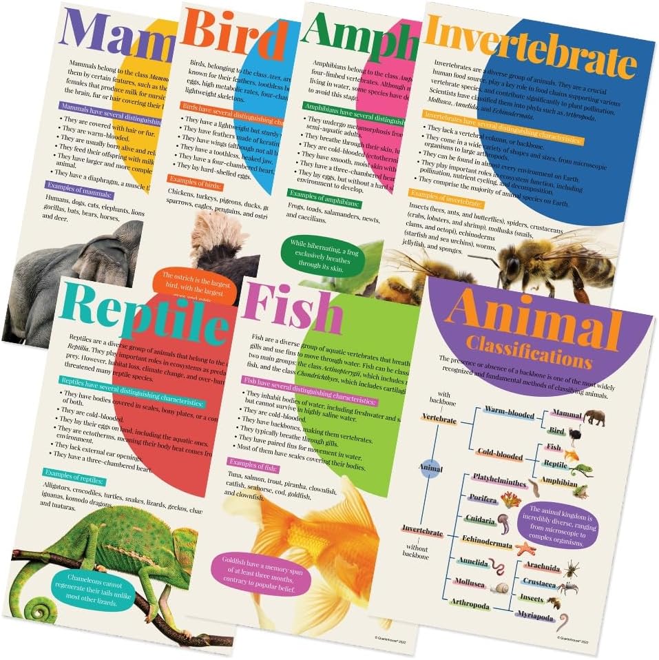 Quarterhouse 7 Poster Animal Groups Set, Science Classroom Learning Materials for K-12 Students and Teachers, 12 x 18 Inches, Made in USA