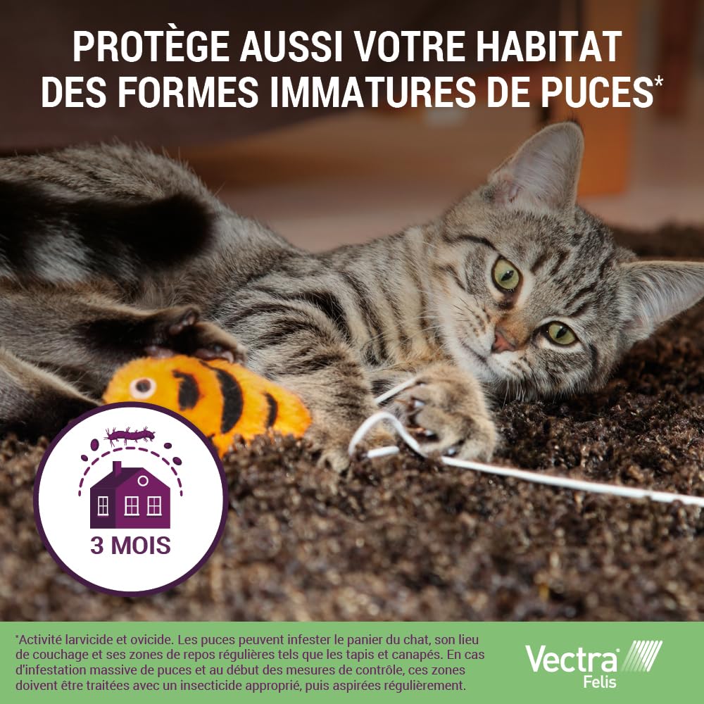 Vectra® Felis Solution Spot-on pour Chats - 3 pipettes