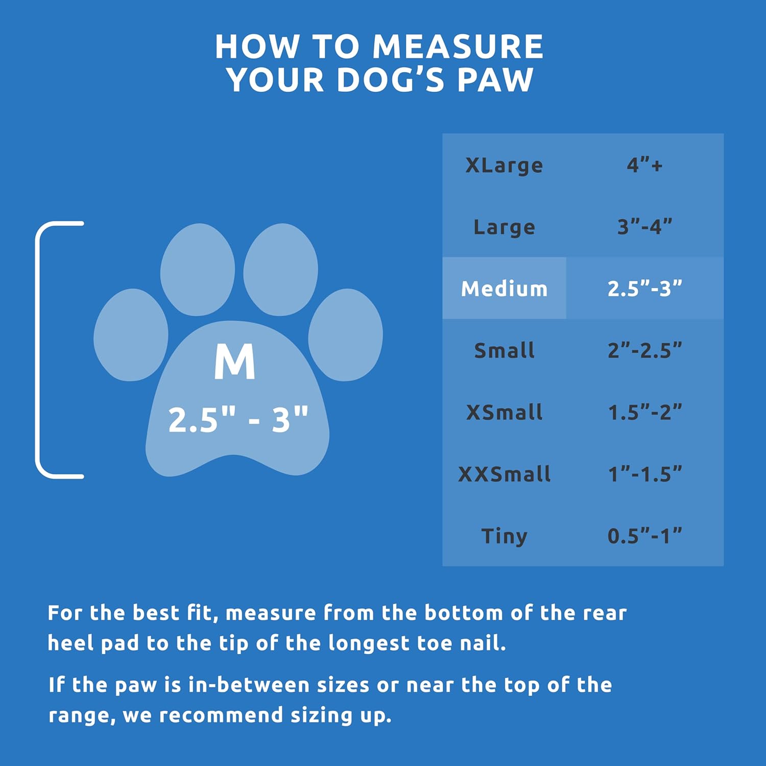 PawZ Rubber Dog Boots for Medium Paws - All-Weather Waterproof Dog Shoes, Anti-Slip Traction for Rain, Snow, Mud & Hot Pavement - Pull-On Dog Booties, Blue - Medium (2.5" - 3") - Pack of 24