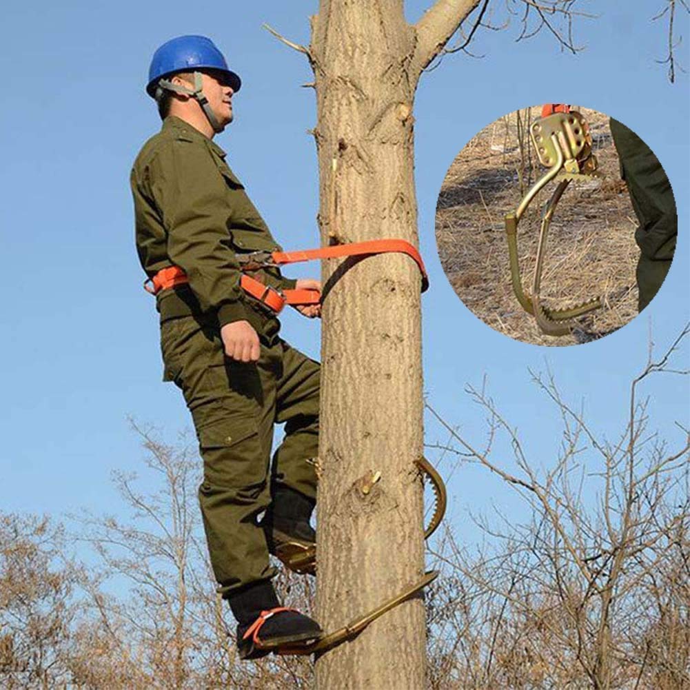 Amazon | 木登りアーティファクトスチールクライミングアイゼン滑り