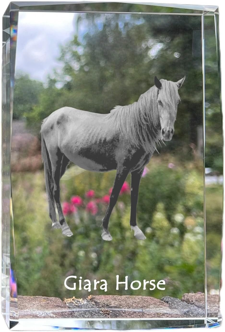 Art-Dog Crystal with a Photo of a Dog, cat or Horse, Photo in Glass, Modern Photo Display, Personalized Gift idea
