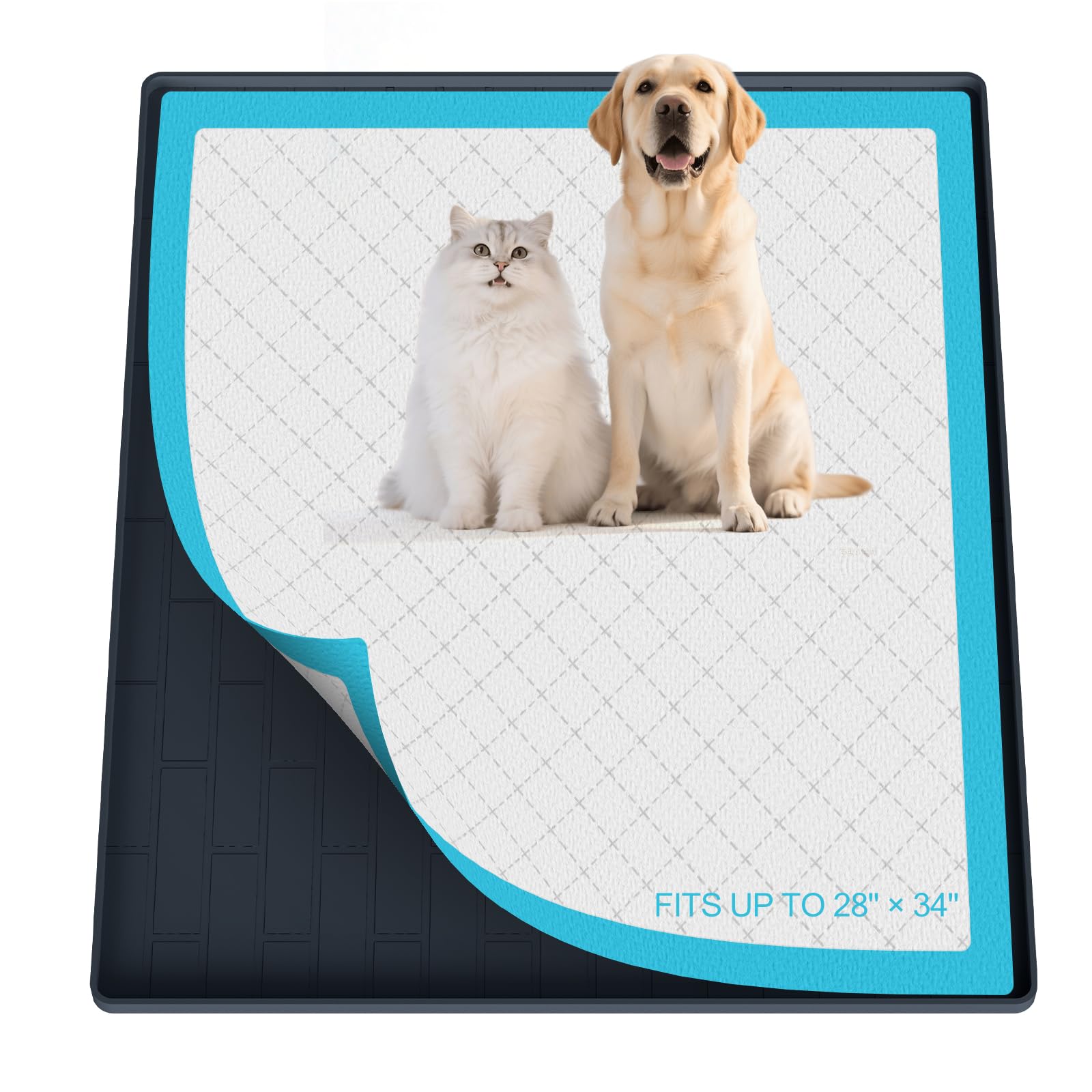 Tapis d'apprentissage portable étanche et support de tapis pipi