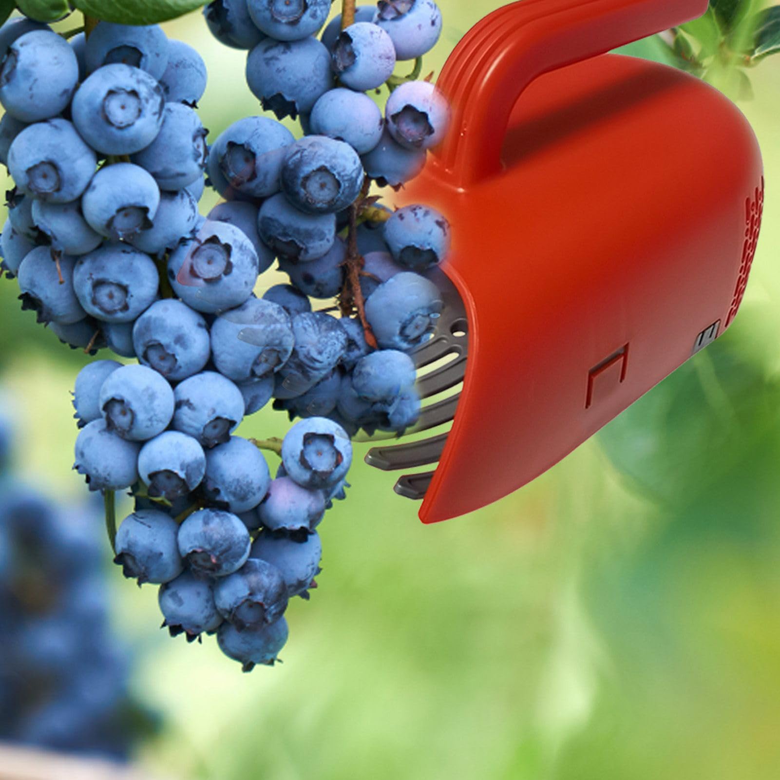 BESTonZON Beerenpflücker Aus Edelstahl - Beerenkamm Für Blaubeeren Und Kleine Früchte