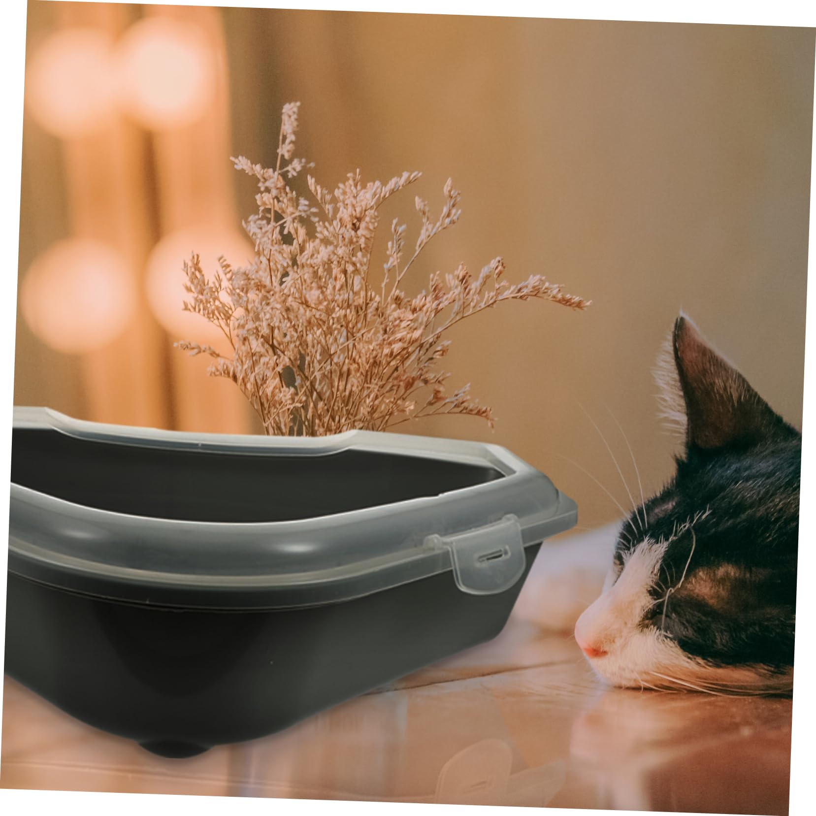 Yardwe Große Dreieckige Katzentoilette mit Spritzschutz Abnehmbarem Design und Halbgeschlossener Pp Katzenstreu Fall für Hygienische Katzenhaltung