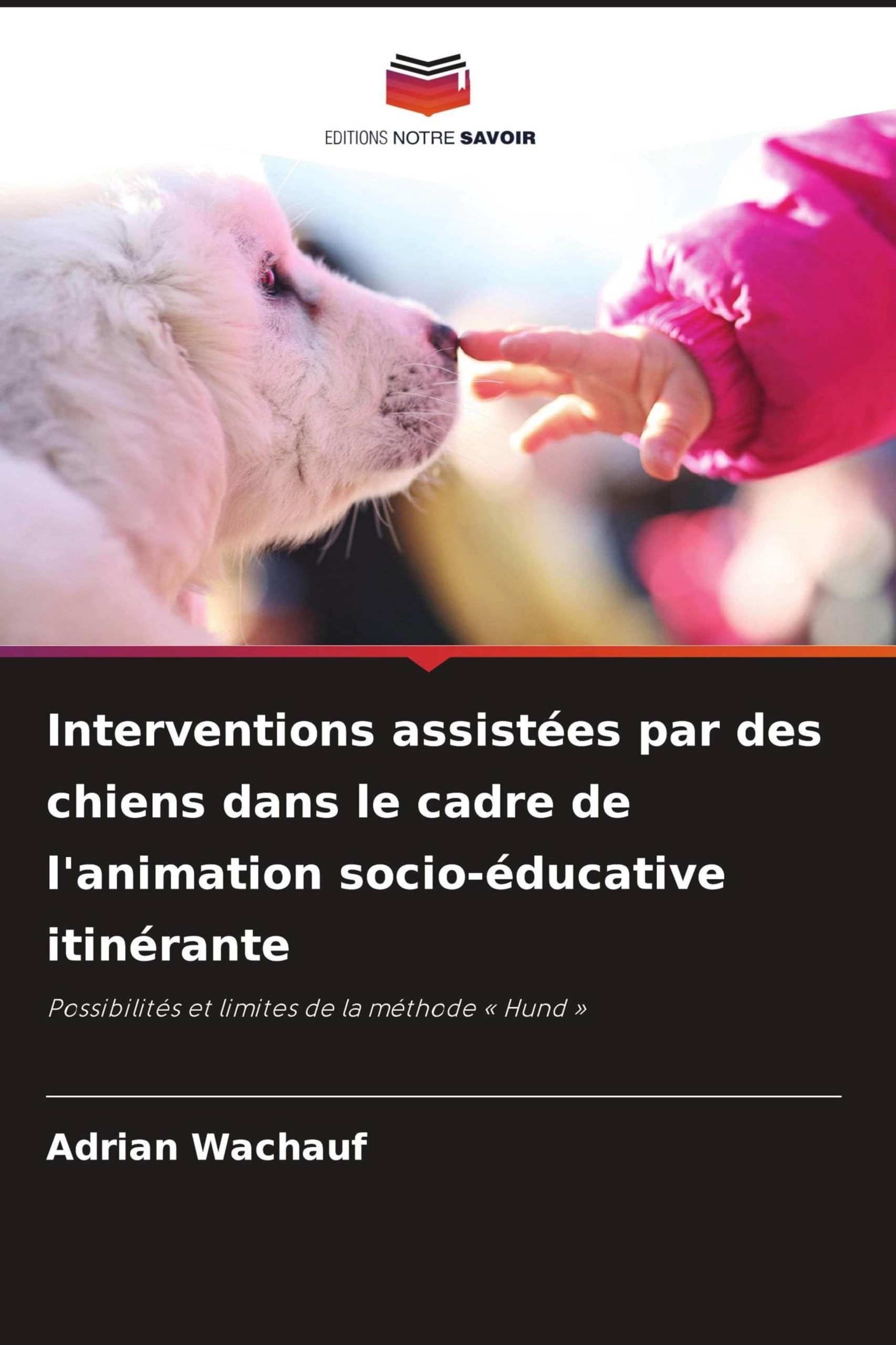 Interventions assistées par des chiens dans le cadre de l'animation socio-éducative itinérante