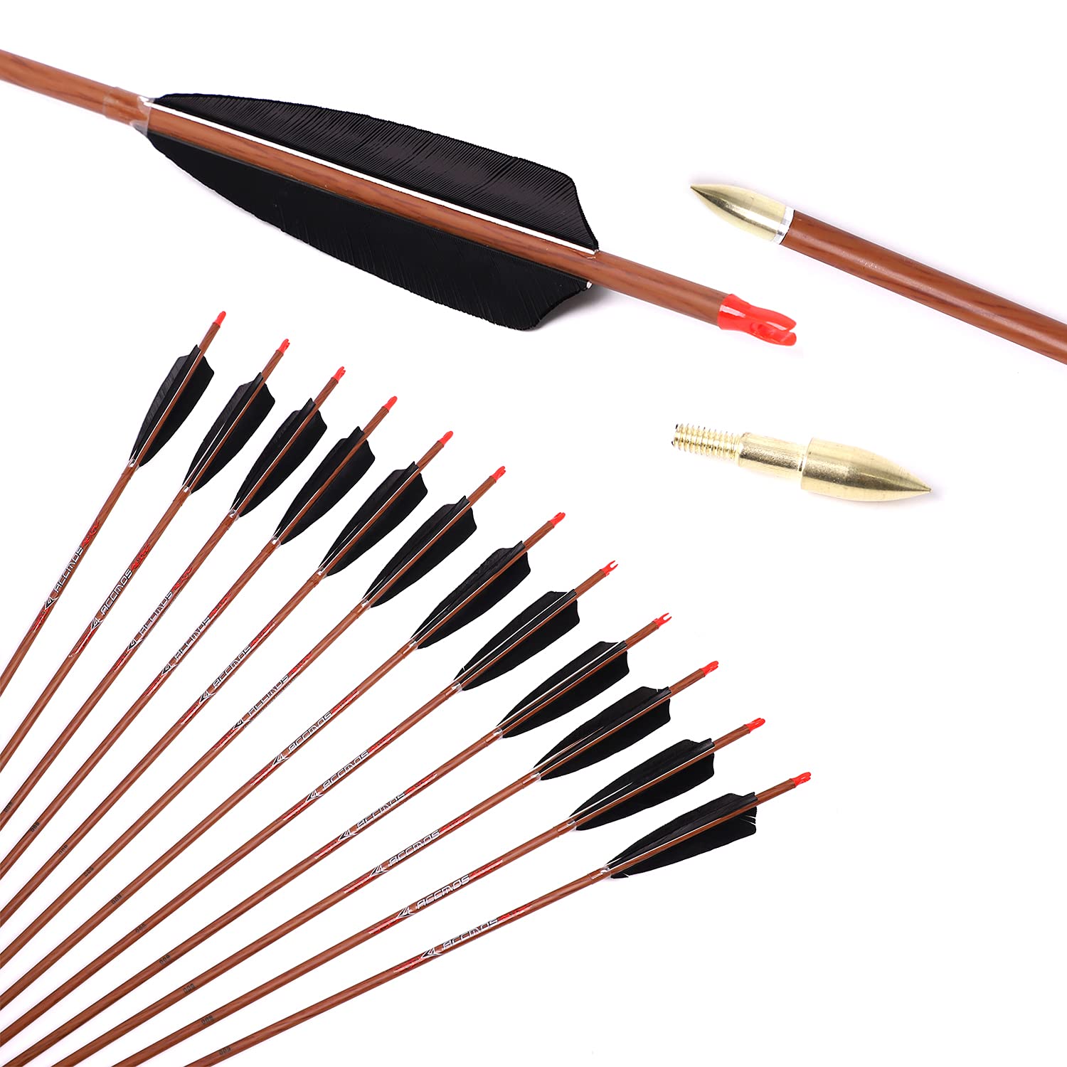 GPP Flèche de chasse en carbone 50,8 cm avec ailettes de 10,2