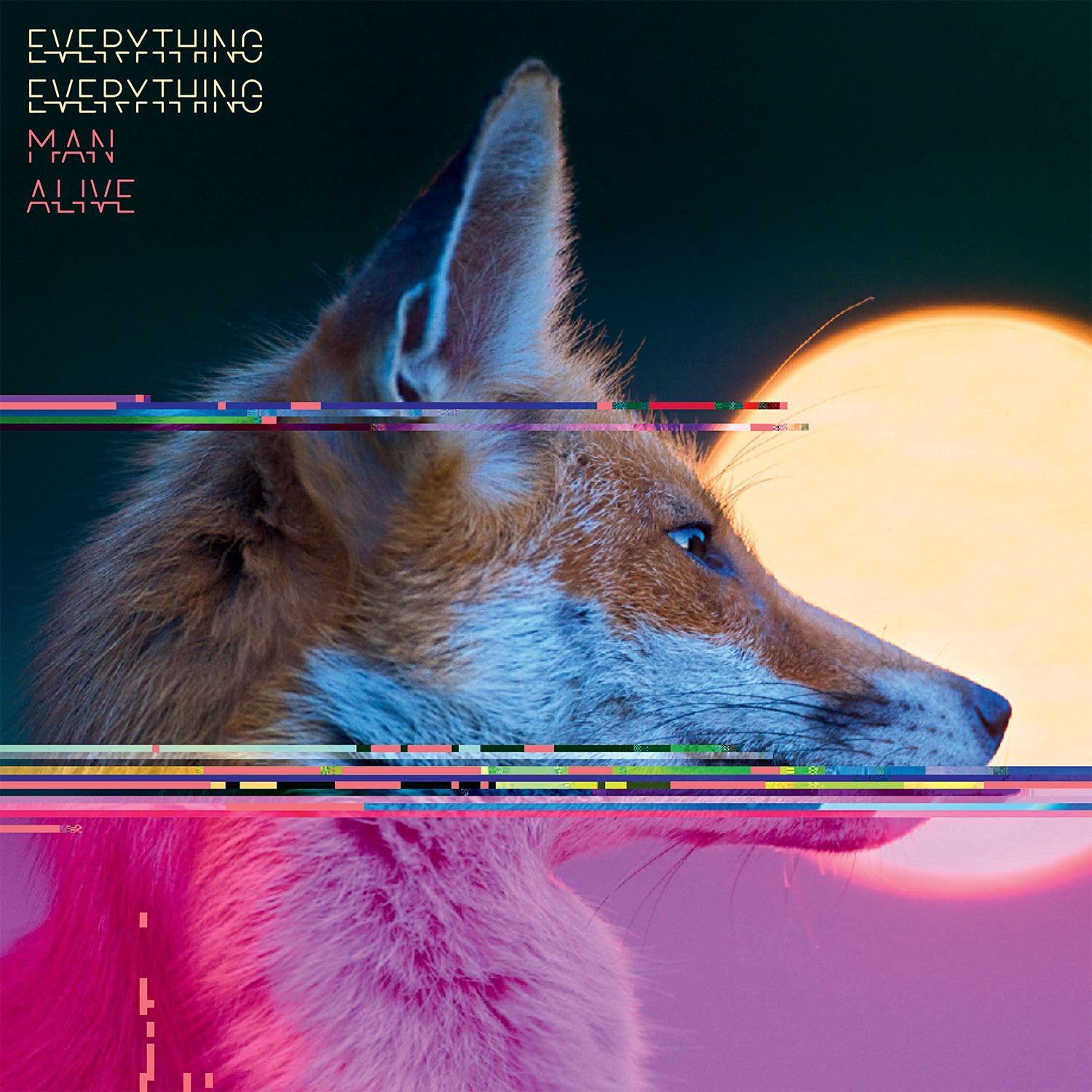 Everything Everything Man Alive (deluxe Edition) LP New 805520240673