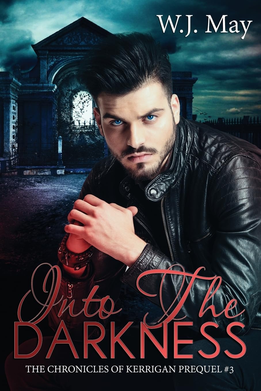Into the Darkness: paranormal fantasy romance: Volume 3 (The Chronicles of Kerrigan Prequel)