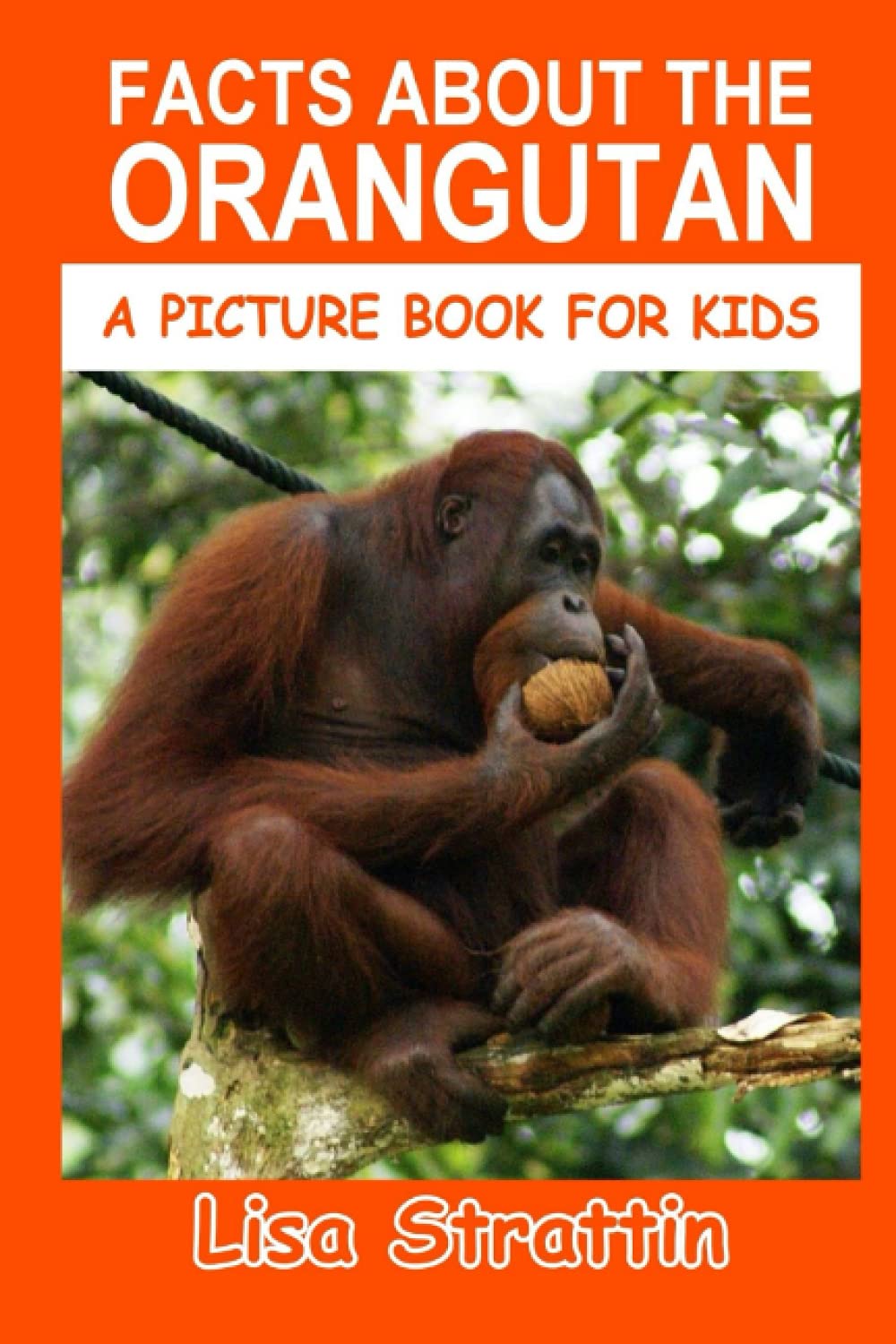Facts About the Orangutan (A Picture Book For Kids)