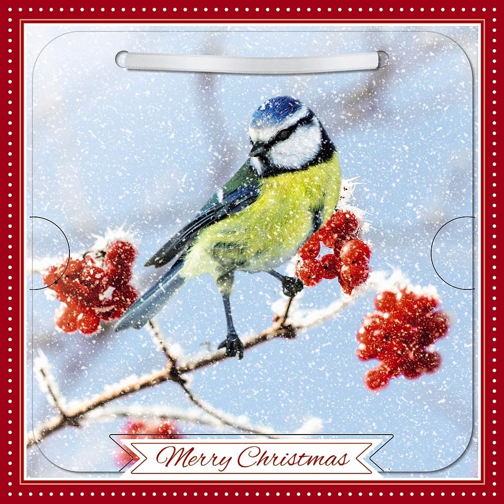 Carte Blanche Photographic 3D Lenticular Merry Christmas Single Greeting Card with Detachable Keepsake to Treasure