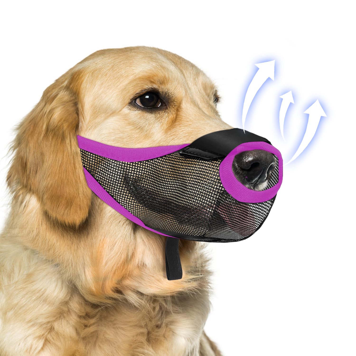 Dog Muzzle, Soft Air Mesh Muzzles for Small Sized Dogs, Breathable Dog Mussels for Scavenging Biting Licking & Barking,Adjustable Mouth Guard with Front Opening, Allows Panting and Drinking (Purple,M) — image 1