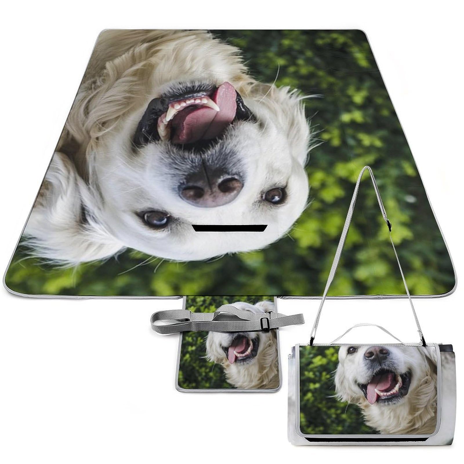 Couverture de pique-nique Golden Retriever 148x148 cm pliable et imperméable pour le camping