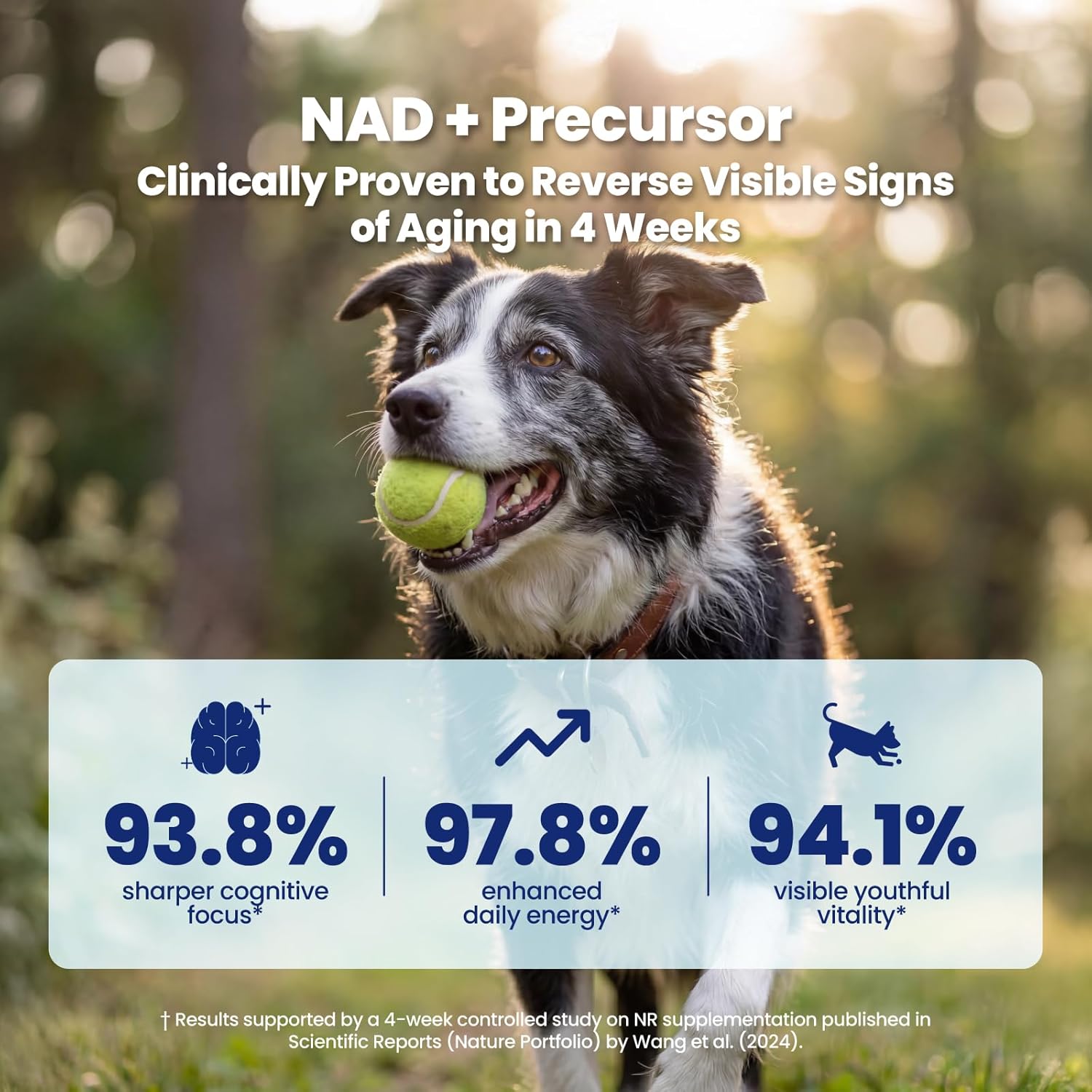 NAD+ Precursor & Senior Dog Supplement - 90 Soft Chews - NMN Alternative for Longevity & Healthy Aging - Nicotinamide Riboside, Resveratrol, Quercetin, Made with Pasture-Raised Chicken