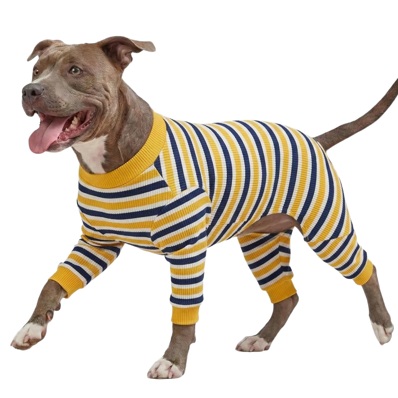 Combinaison chien grande race anti poils en coton stretch