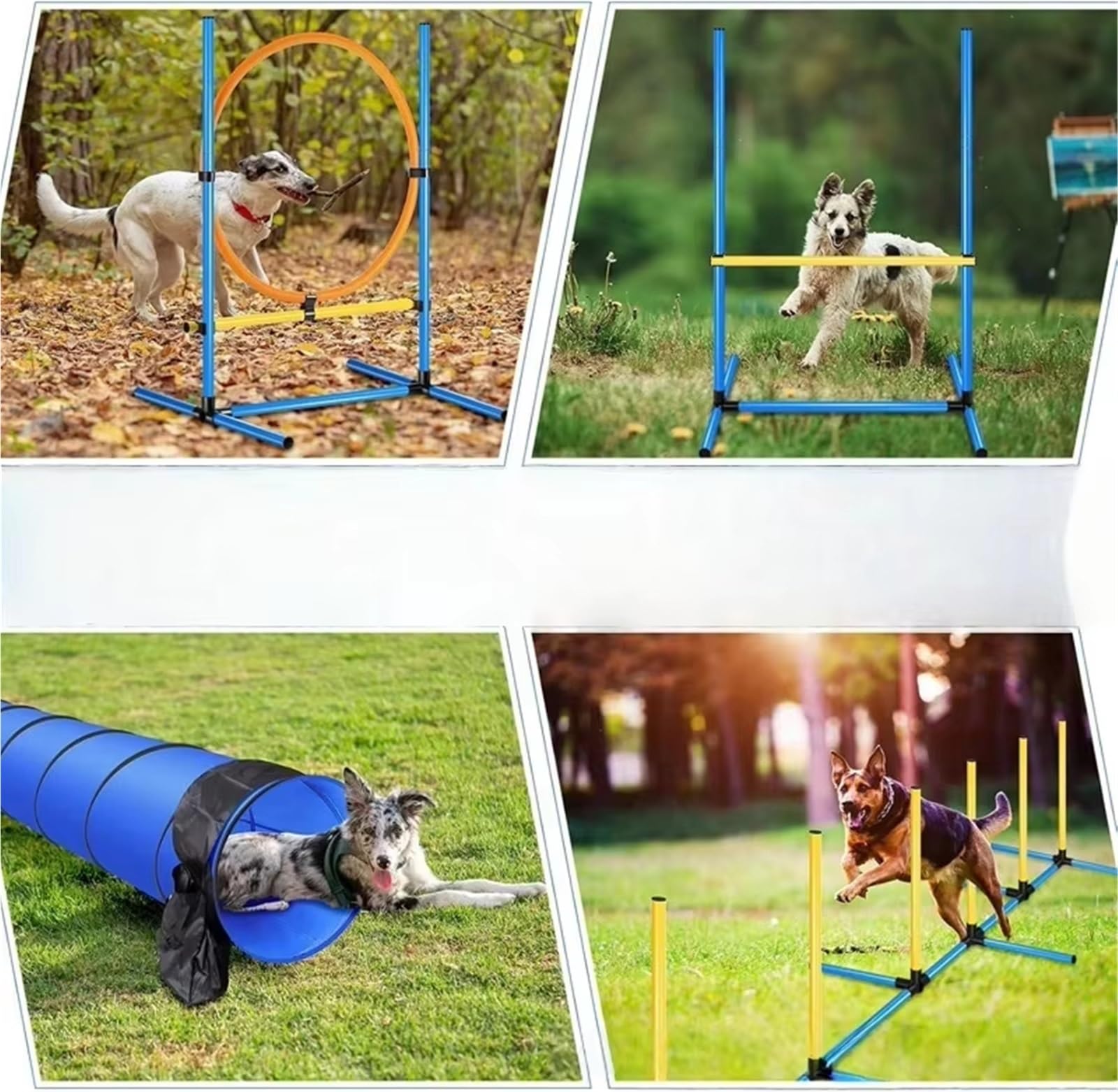Agility-Parcours-Set for den Garten, Premium-Agility-Trainingsausrüstung for Hunde, Starter-Set for das Training von Haustier-Hindernisparcours, Reifensprung + Hürdensprung, Tunnel, Slalomstangen