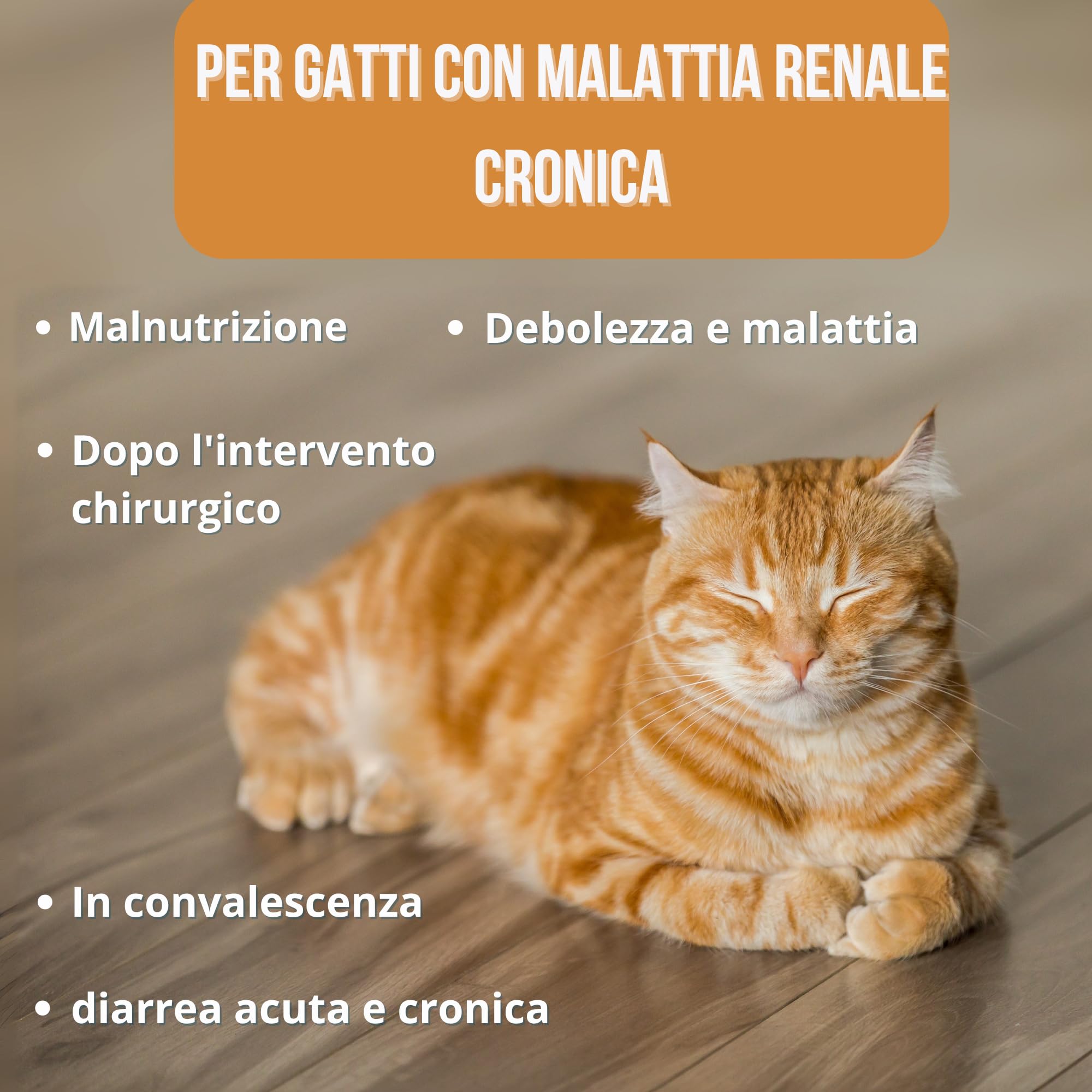 Renalcare - Integratore renale liquido 250 ml per gatti - Restituisce energia e appetito ai gatti con problemi renali - Previene l'anemia e sostiene la salute dei reni - Senza fosforo né sodio - Gusto