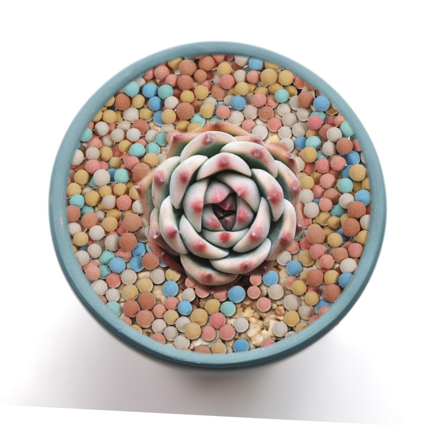 Granulés de Céramsite pour Pots de Fleurs, 2 Paquet 500 G