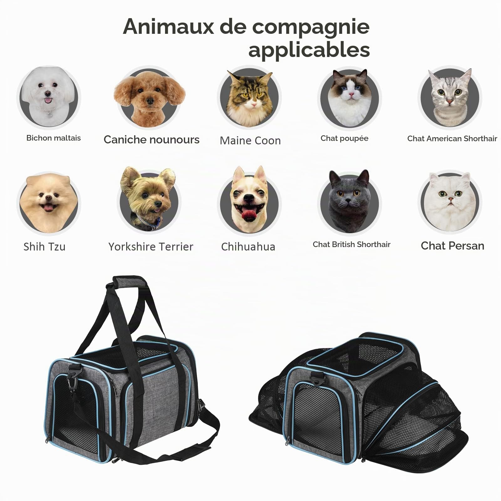 Sac de Transport Chat Chien Extensible Respirant, Sac à Main Bandoulière Pliable pour Animal de Compagnie avec Matelas Amovible, Cage de Transport pour Camping Randonnées Voyage (M)