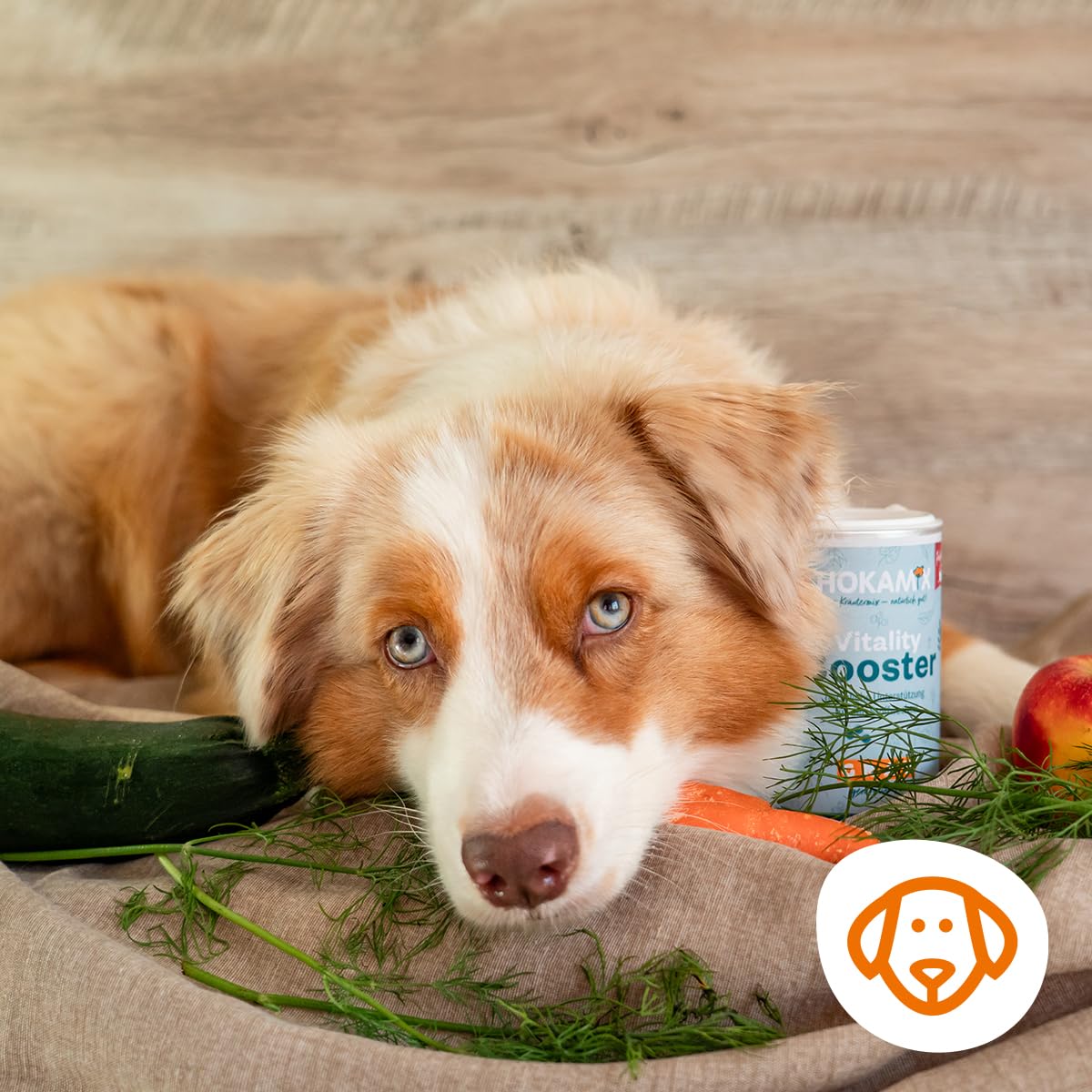 Grau - das Original - GRAU - Hokamix Vitality Booster Snack Maxi Sensitive, 1er Pack (1 x 4,5kg), Ergänzungsfuttermittel für Hunde