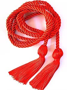 Amazon.com: NIKOLay Graduation Honor Cord with Double-Headed Tassel ...