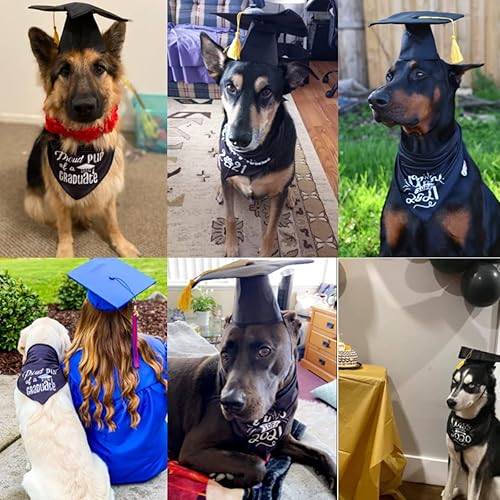 Miniatura 3 de Gorras de graduación para mascotas 2024, sombreros de graduación para cachorros con baberos triangulares, bufanda, disfraces de fiesta, sombrero de